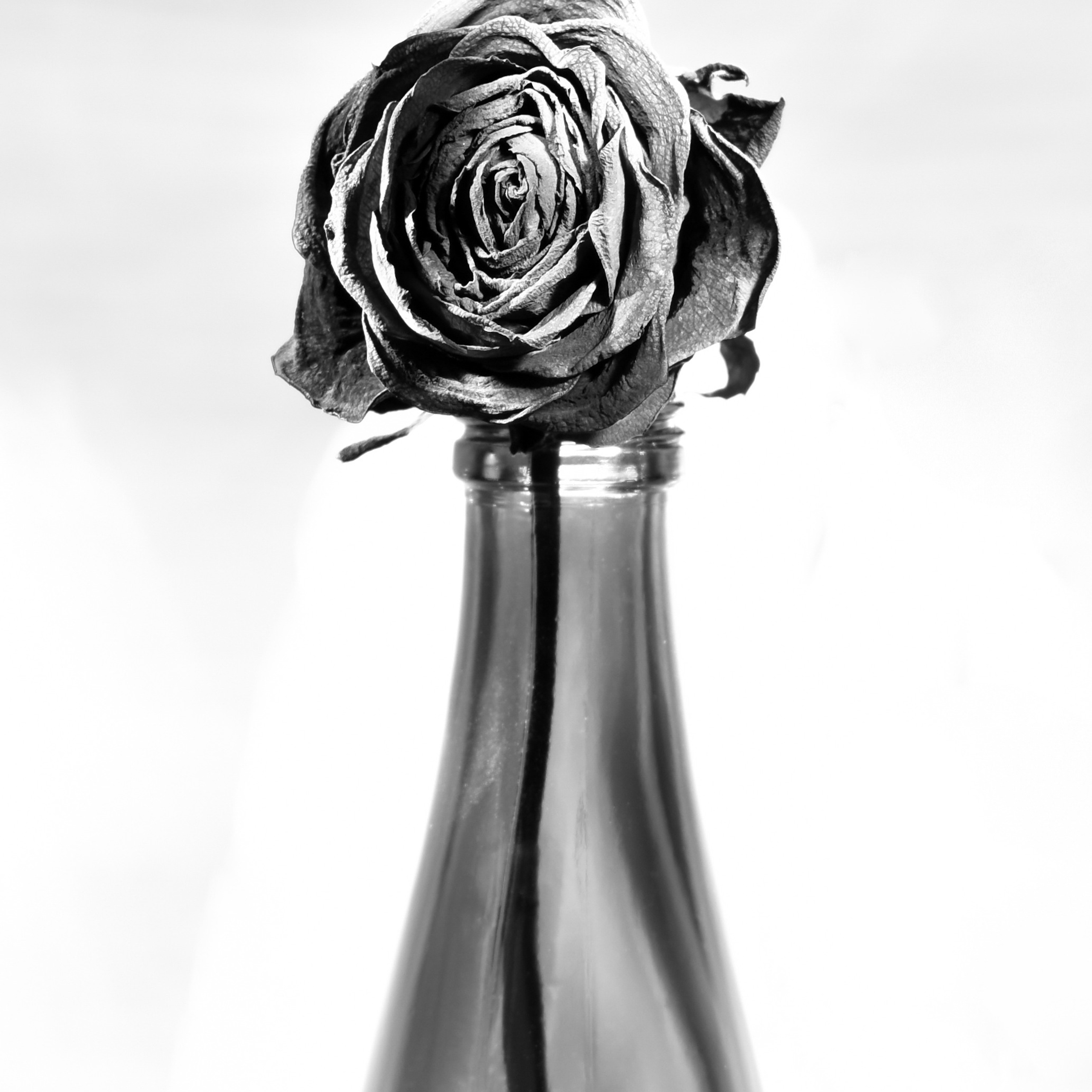 Lights over the Fontanka River. Natalia Carney — Photographer, Model, Blogger