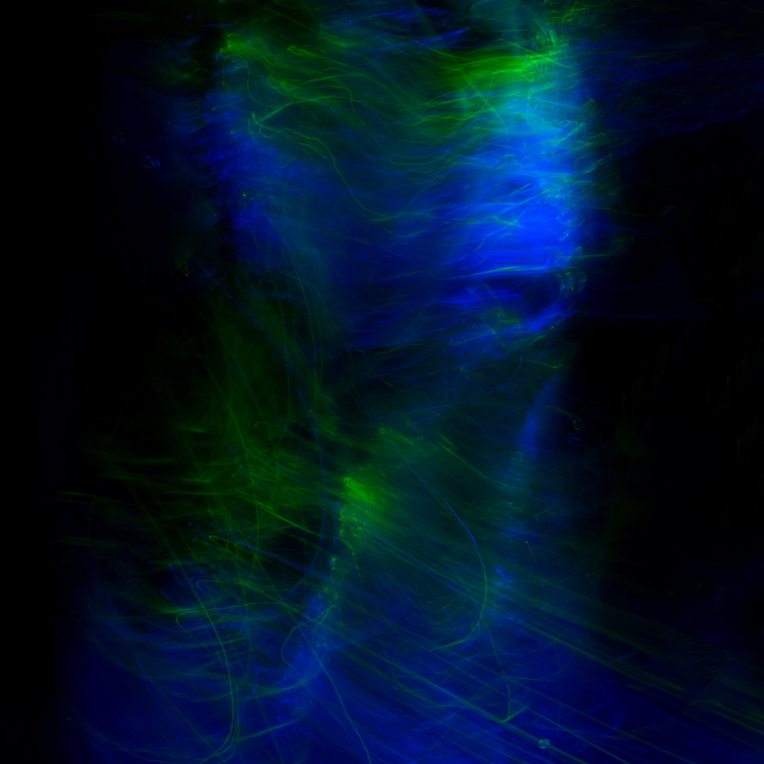 Light Painting and Self Portraits