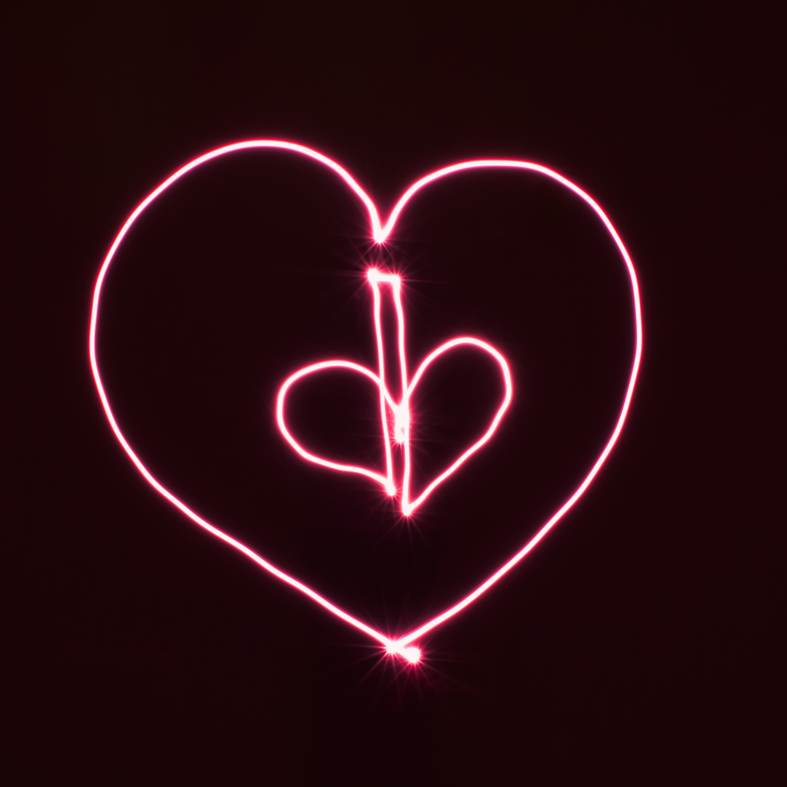 Lights over the Fontanka River. Natalia Carney — Photographer, Model, Blogger