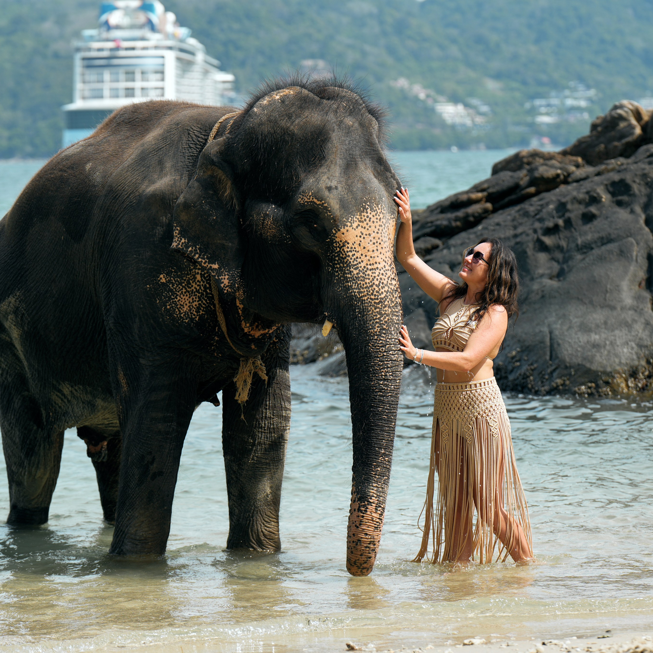 Elephant beach