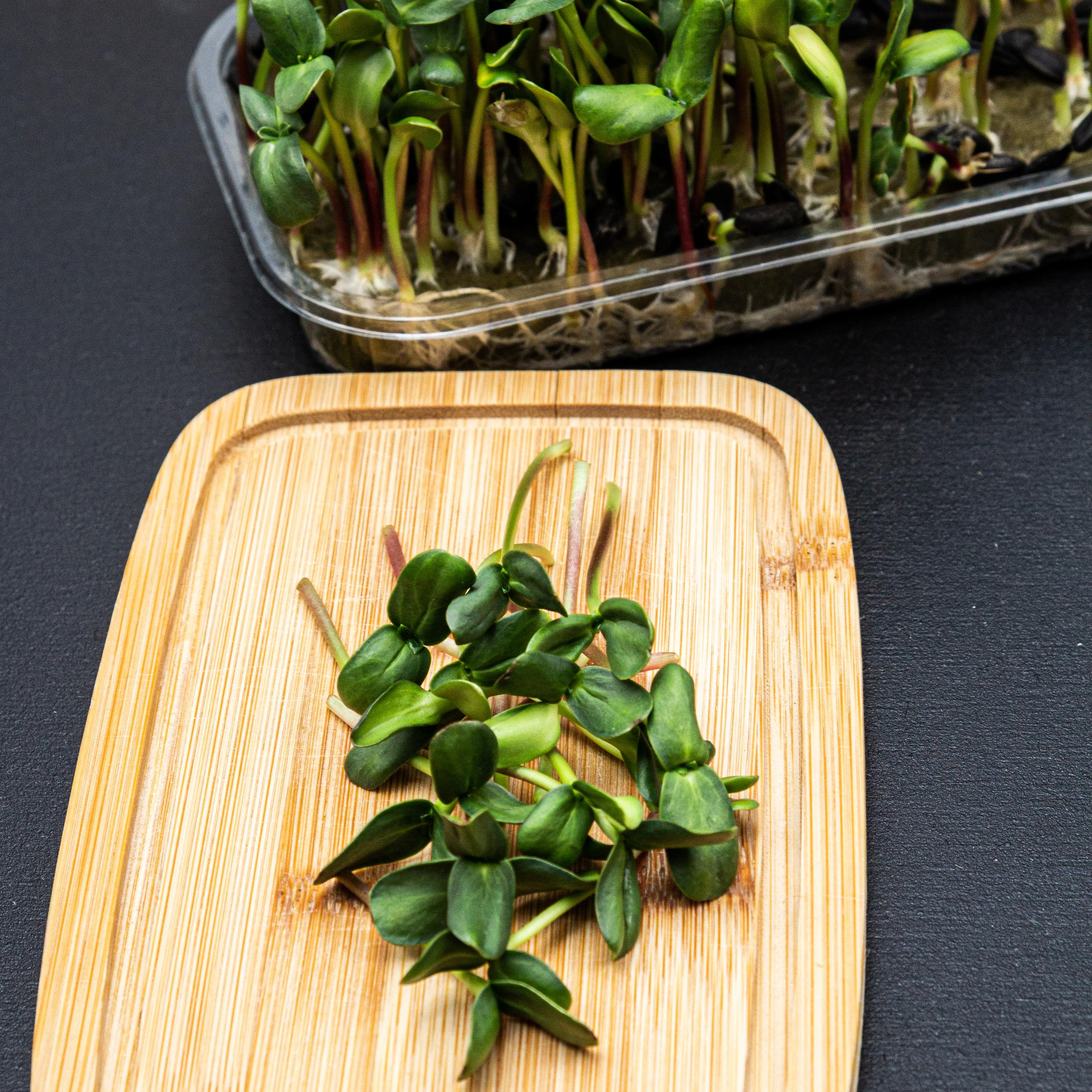 Микрозелень