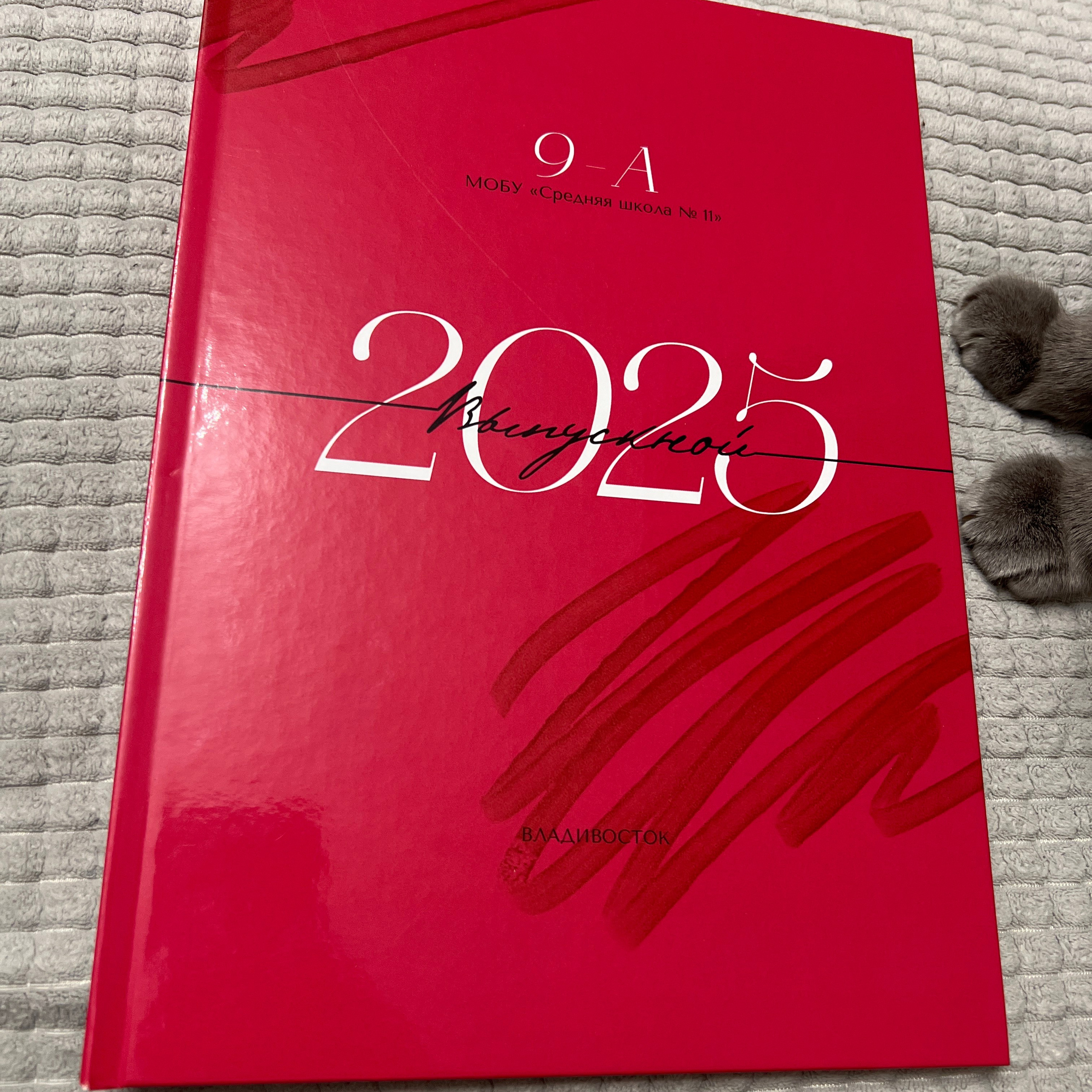 Отзывы на работу студии Арбуз