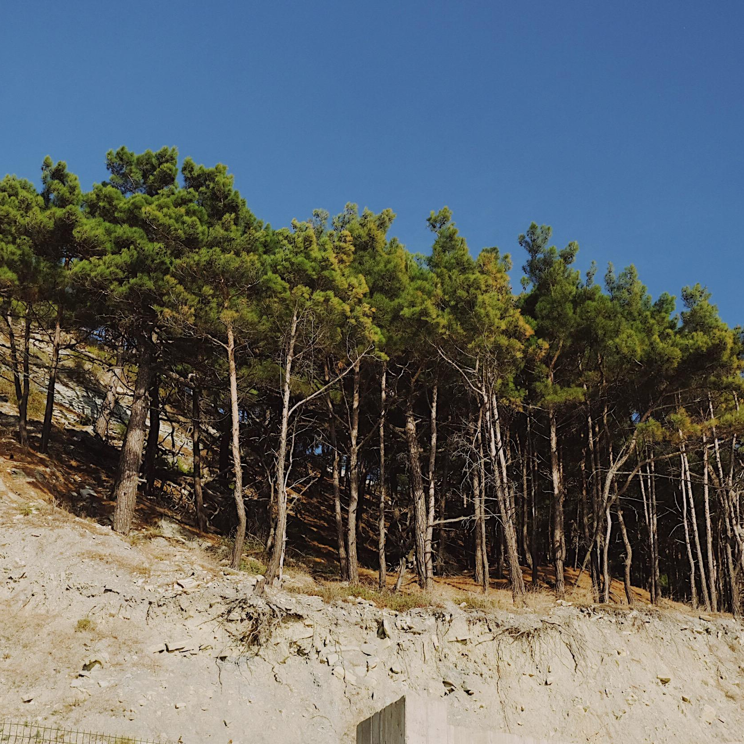 Новороссийск. Maria Marco | photographer, artist