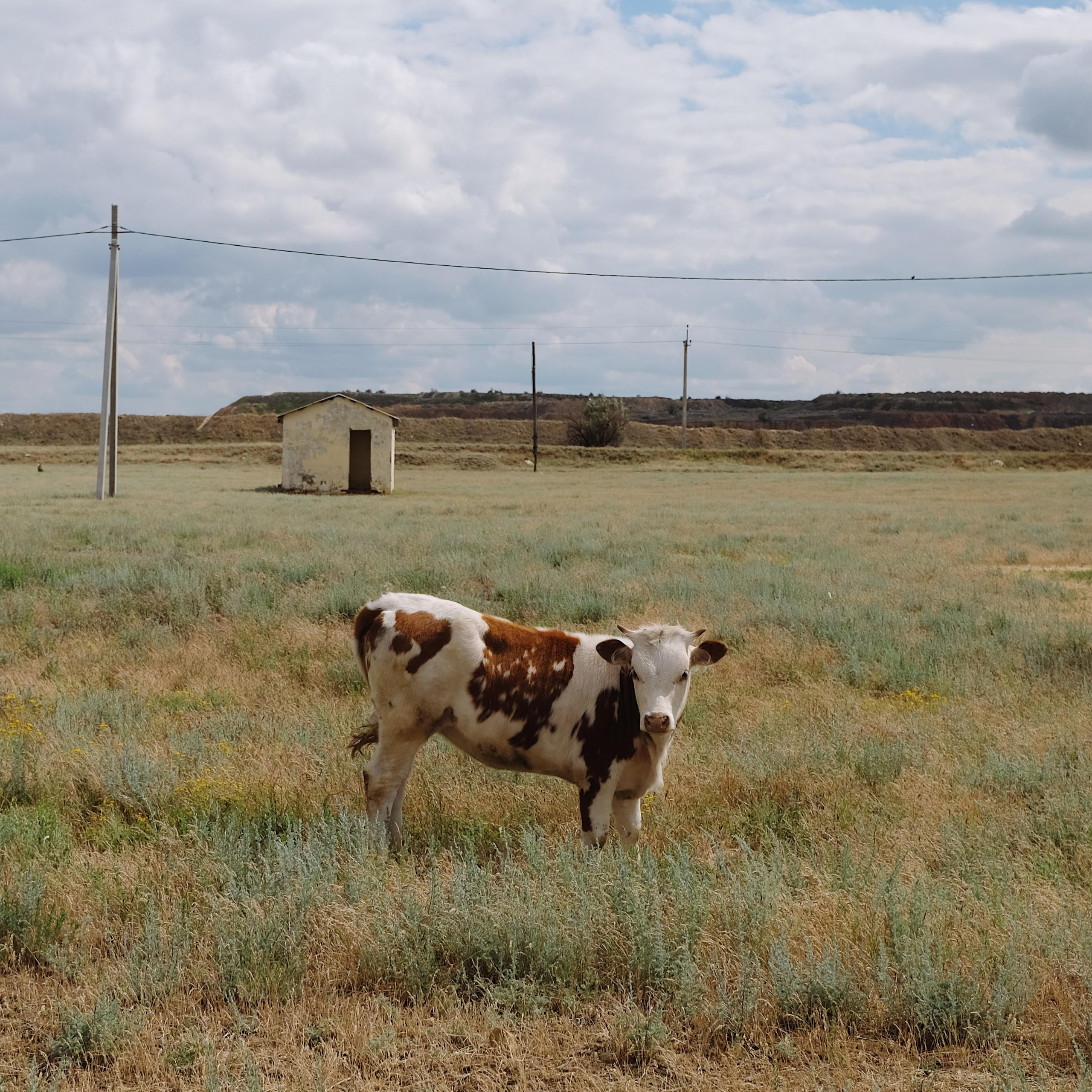 Баскунчак. Maria Marco | photographer, artist