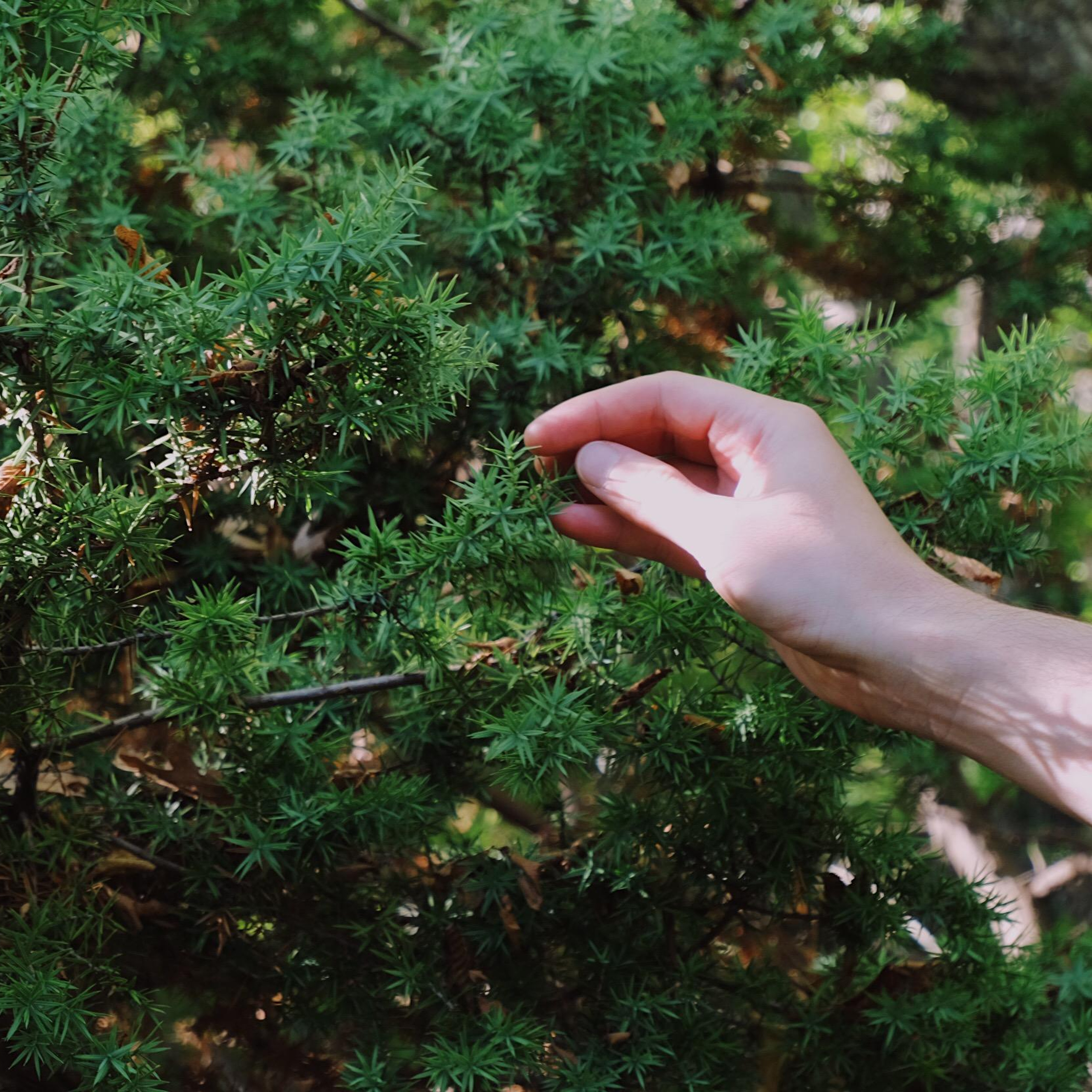 Новороссийск. Maria Marco | photographer, artist