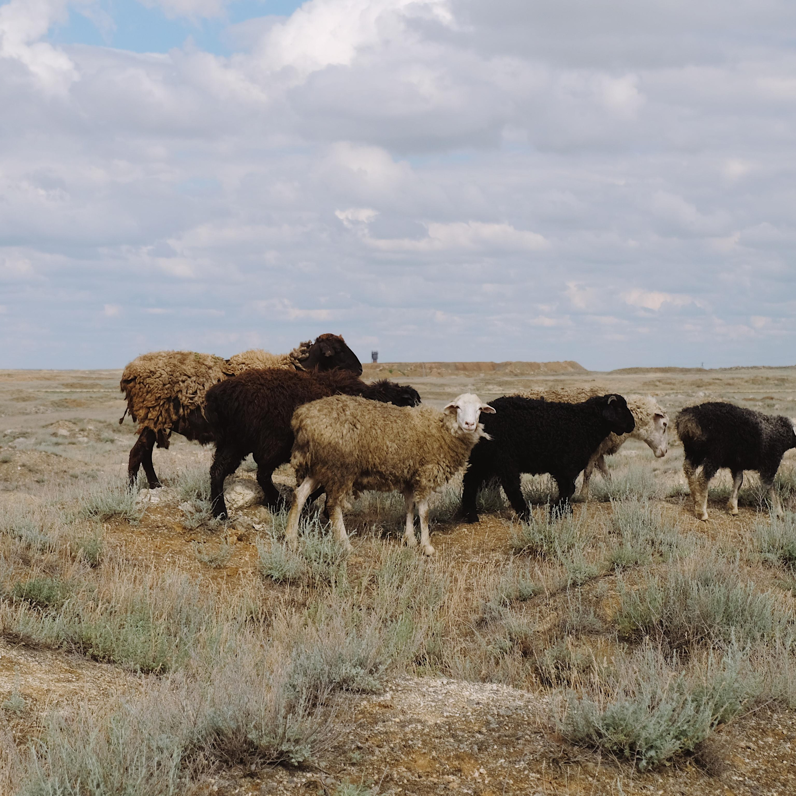 Баскунчак. Maria Marco | photographer, artist