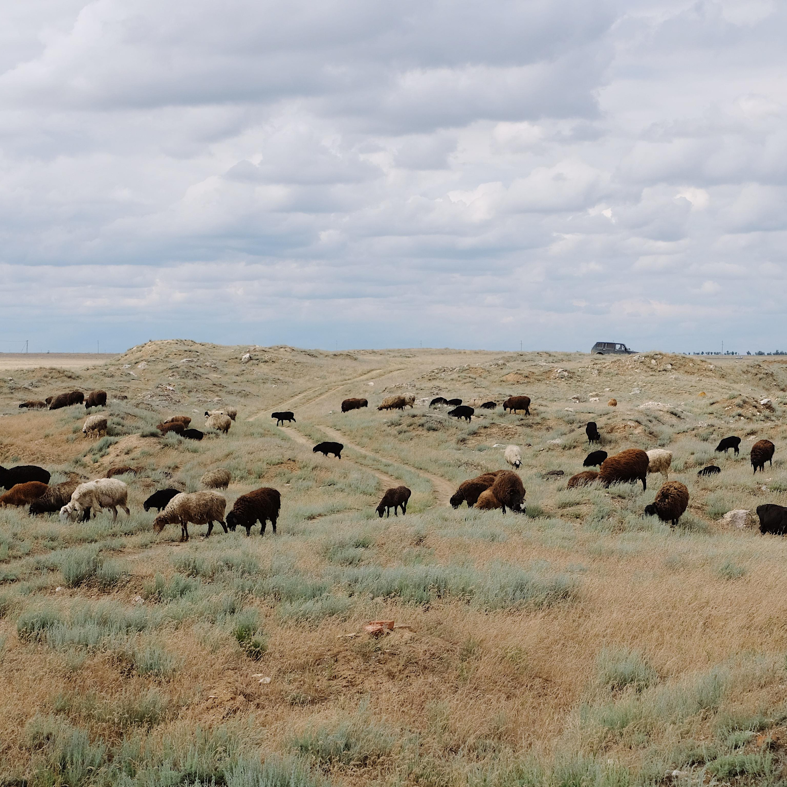 Баскунчак. Maria Marco | photographer, artist