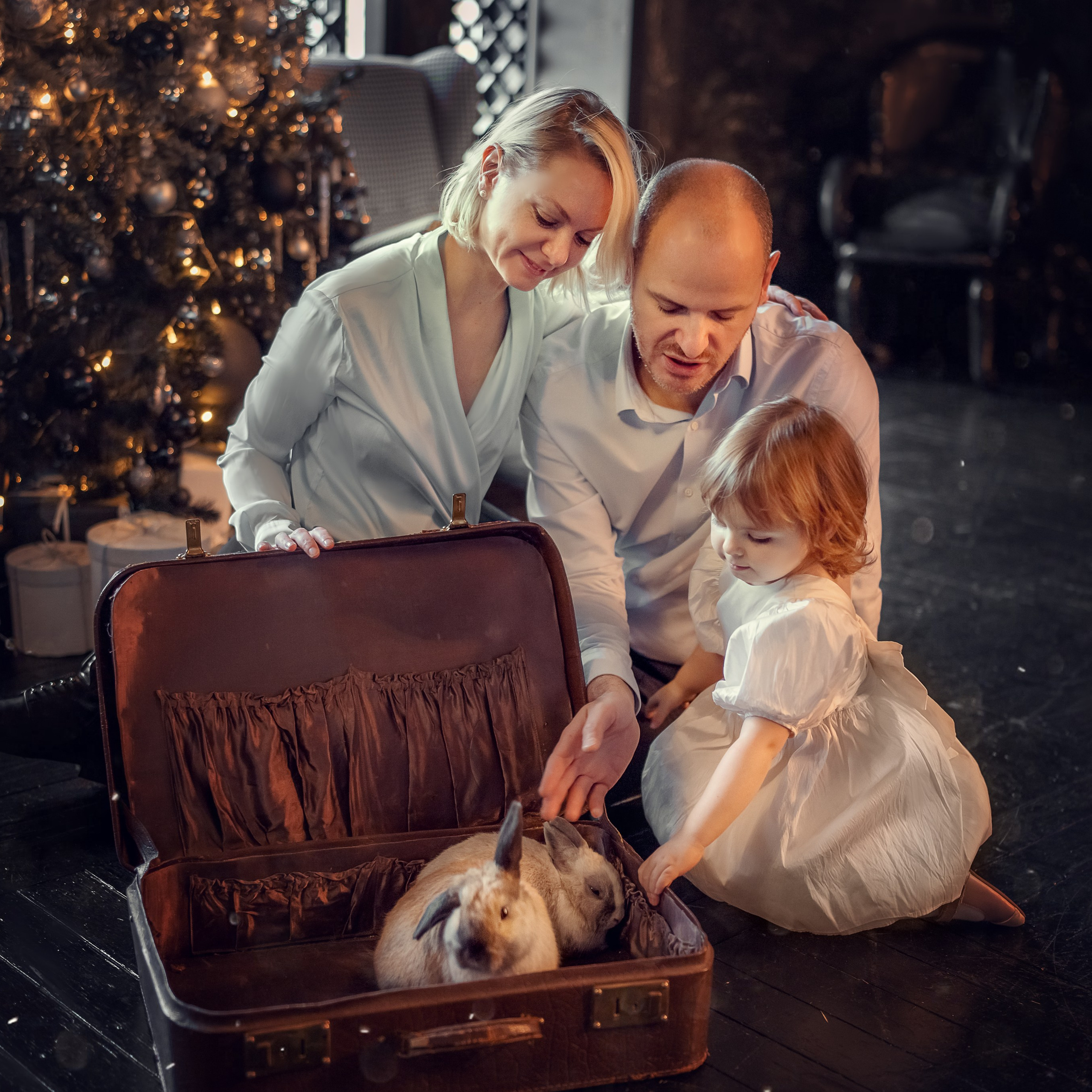 Новогодняя семейная фотосессия