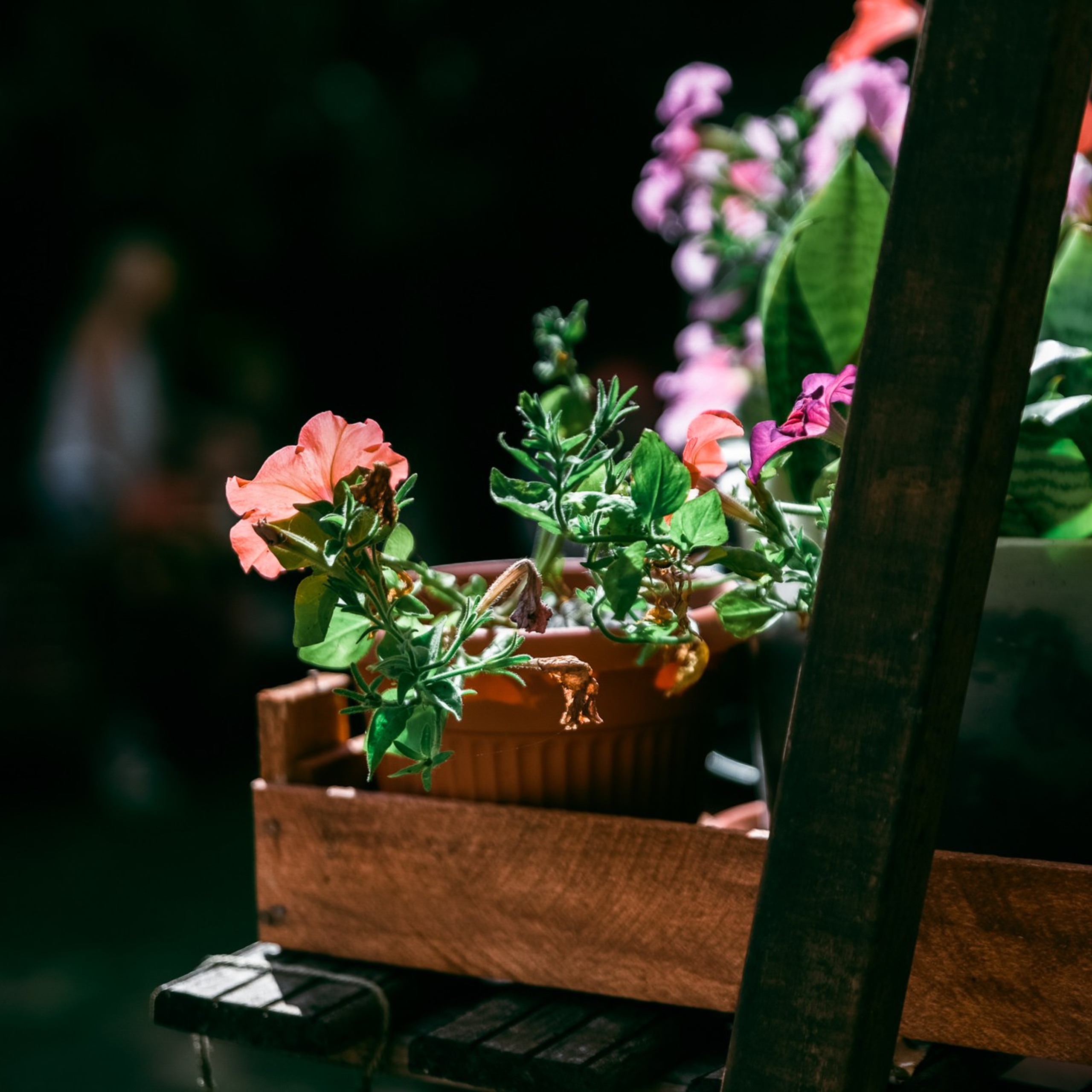 Фотограф на корпоратив, конференцию, мероприятие | Качественные репортажные фото | Челябинск. Репортажный Фотограф в Челябинске Сергей Станин