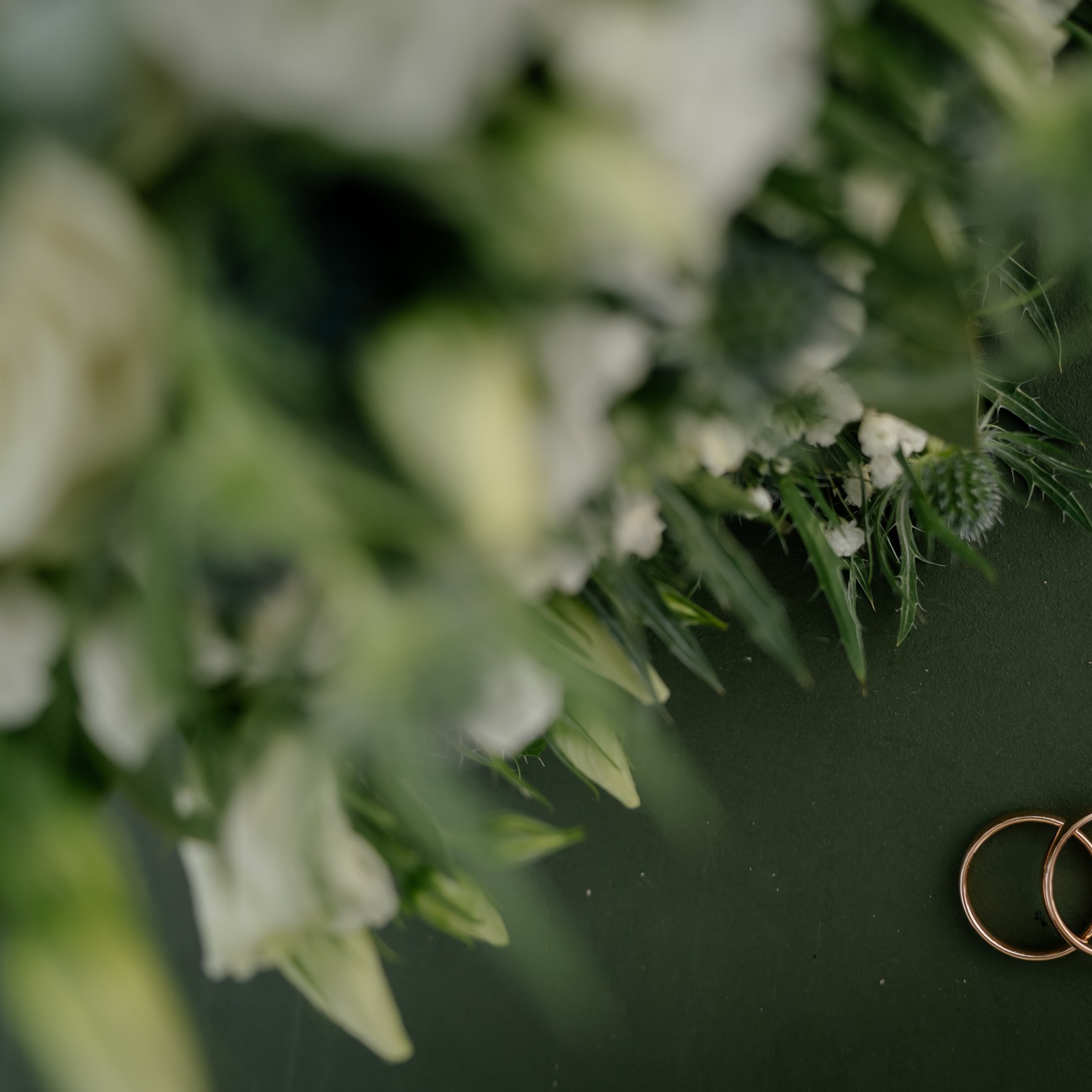 Отзывы. Семейный и свадебный фотограф в Красногорске Анастасия Тихонова