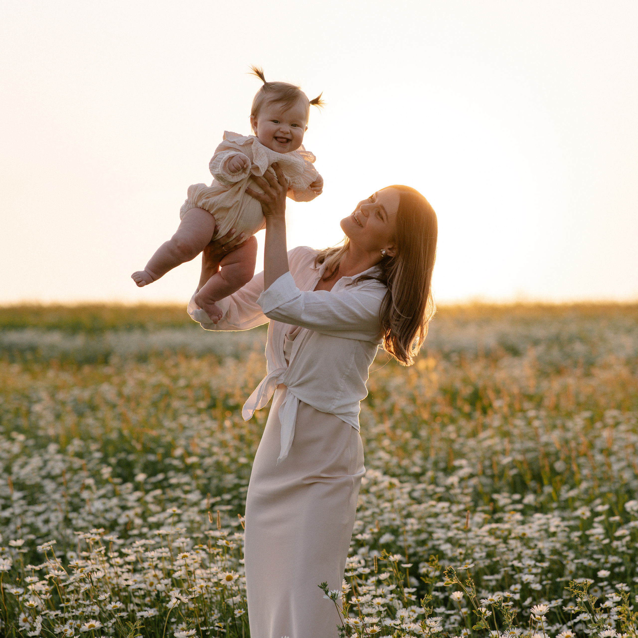 Любовь в ромашковом поле