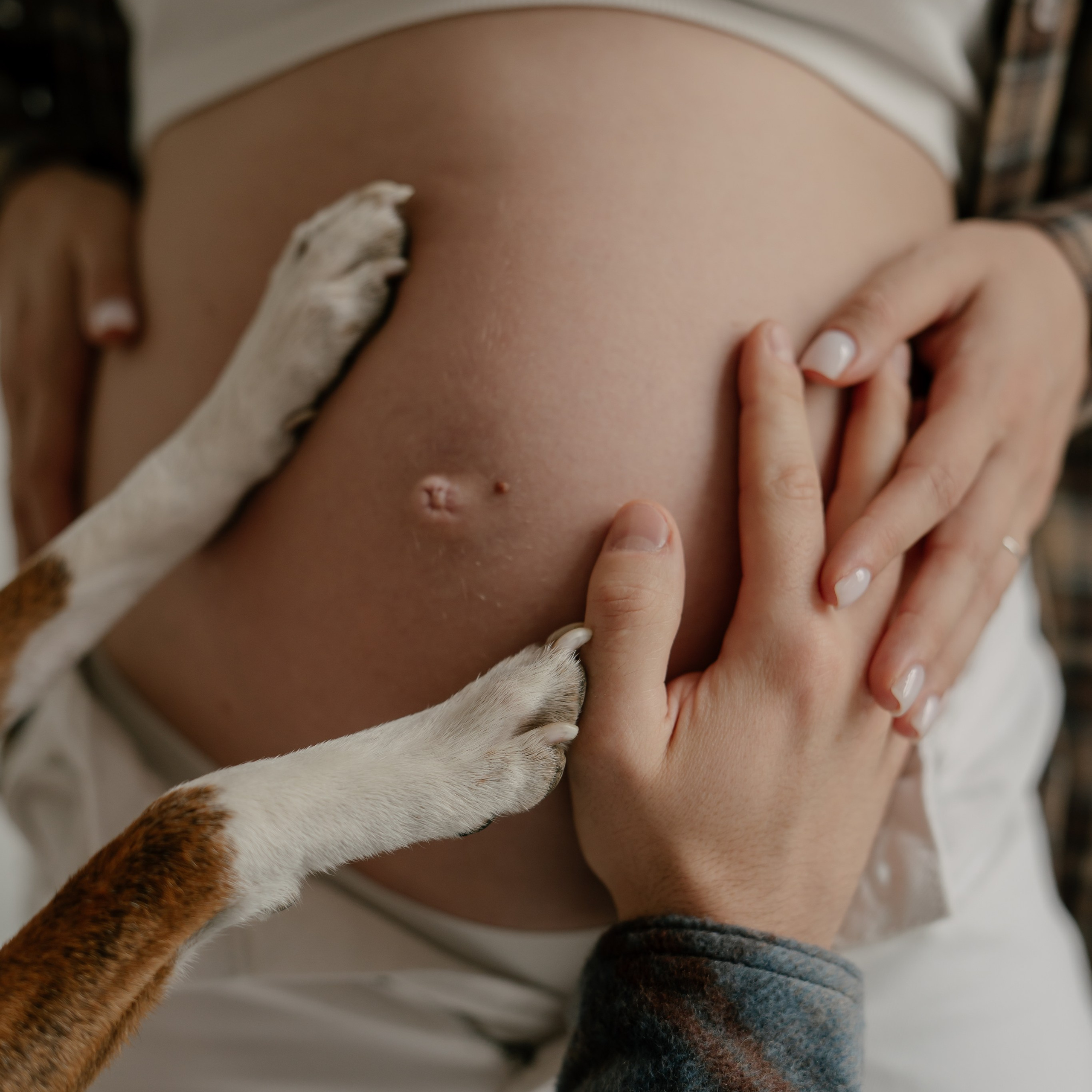 Арина, Антон и&nbsp;Бутс