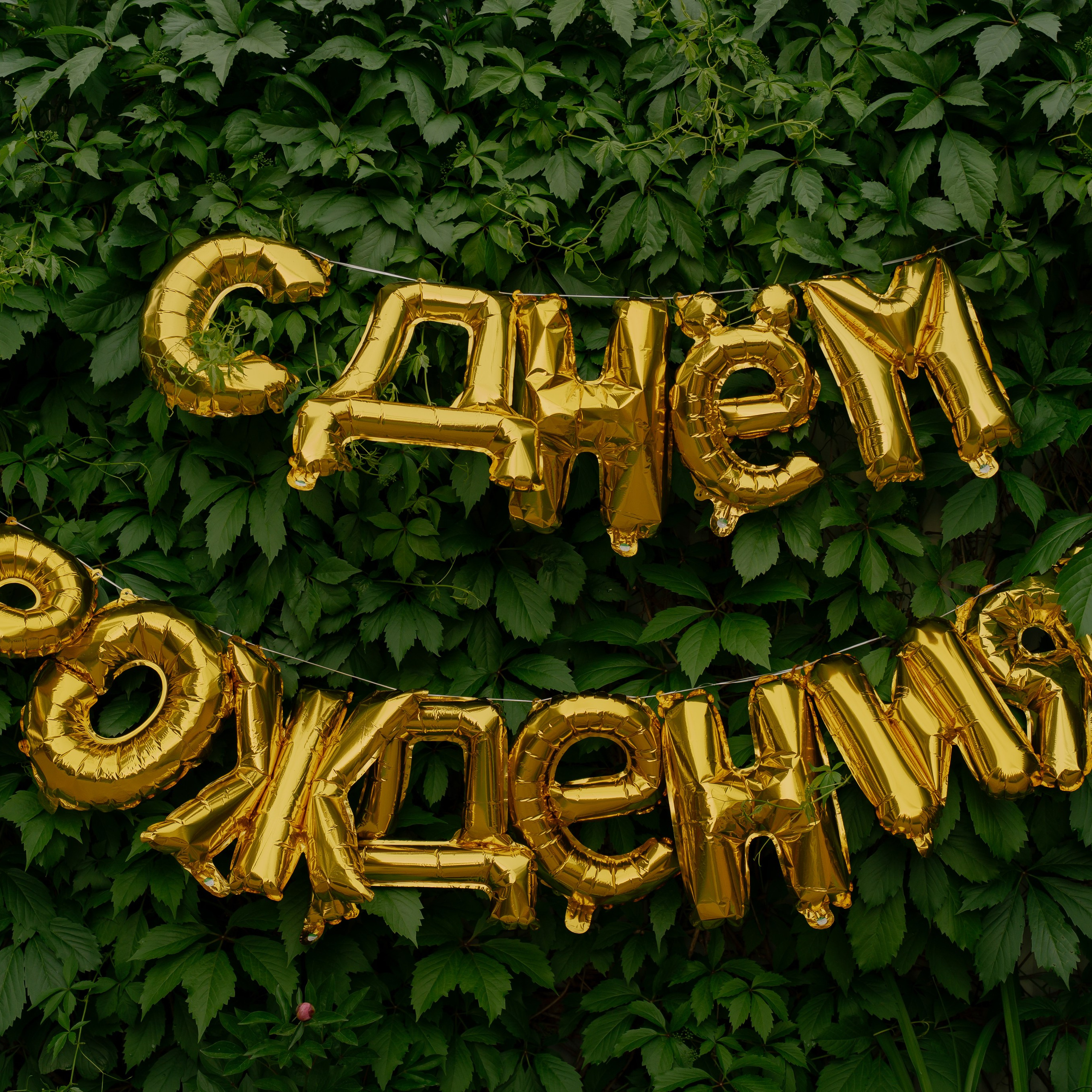 Отзывы. Семейный и свадебный фотограф в Красногорске Анастасия Тихонова