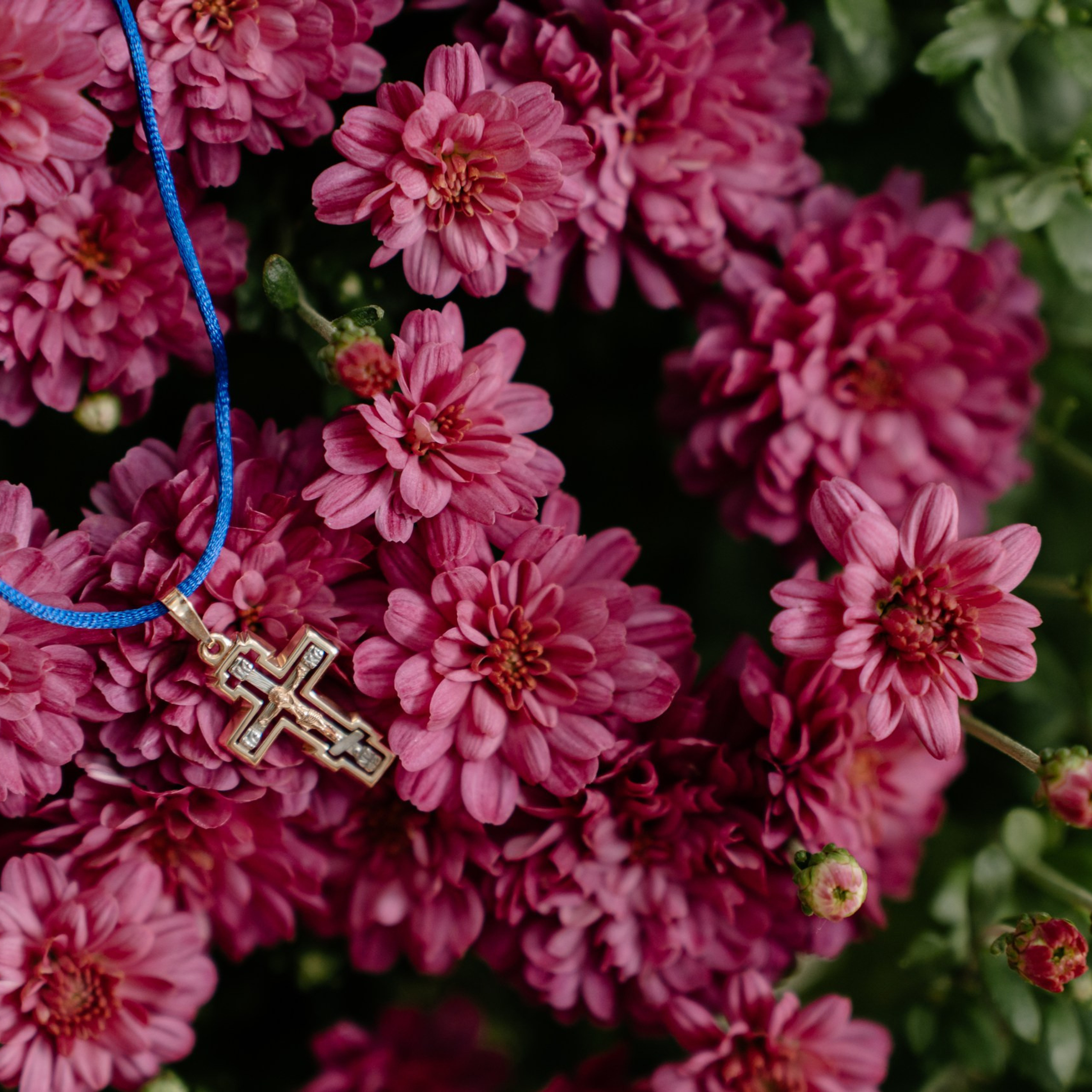 Отзывы. Семейный и свадебный фотограф в Красногорске Анастасия Тихонова