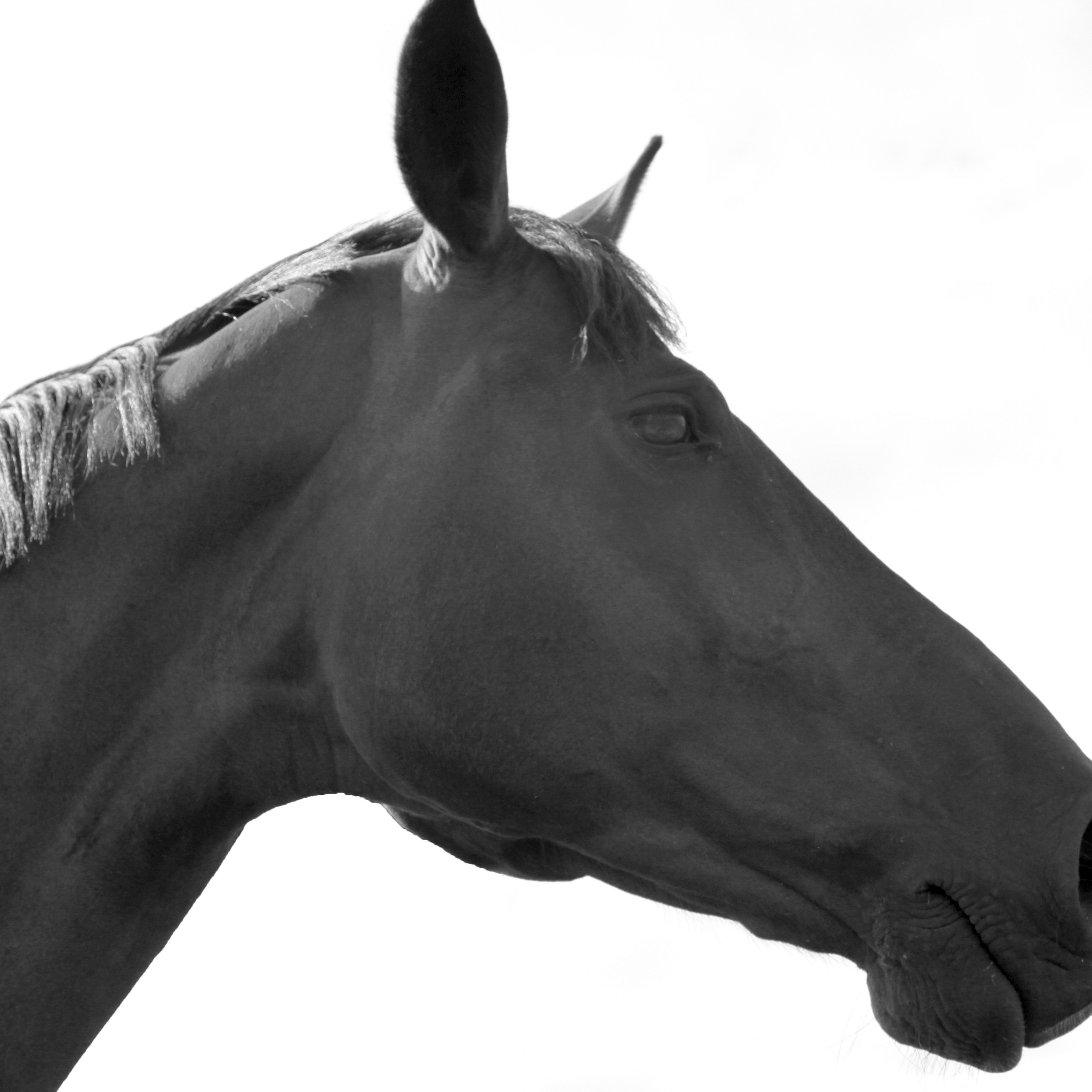 Фотография. Главная