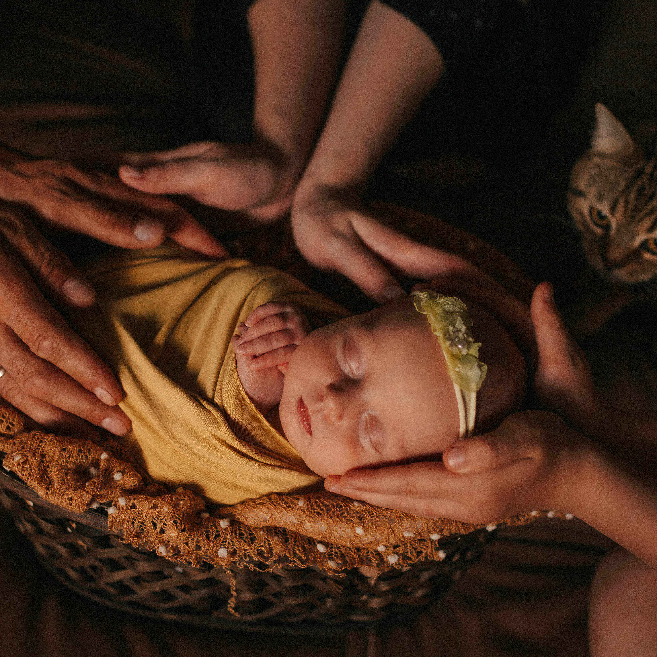 Отзывы. Семейный фотограф в Челябинске Юлия Смолина