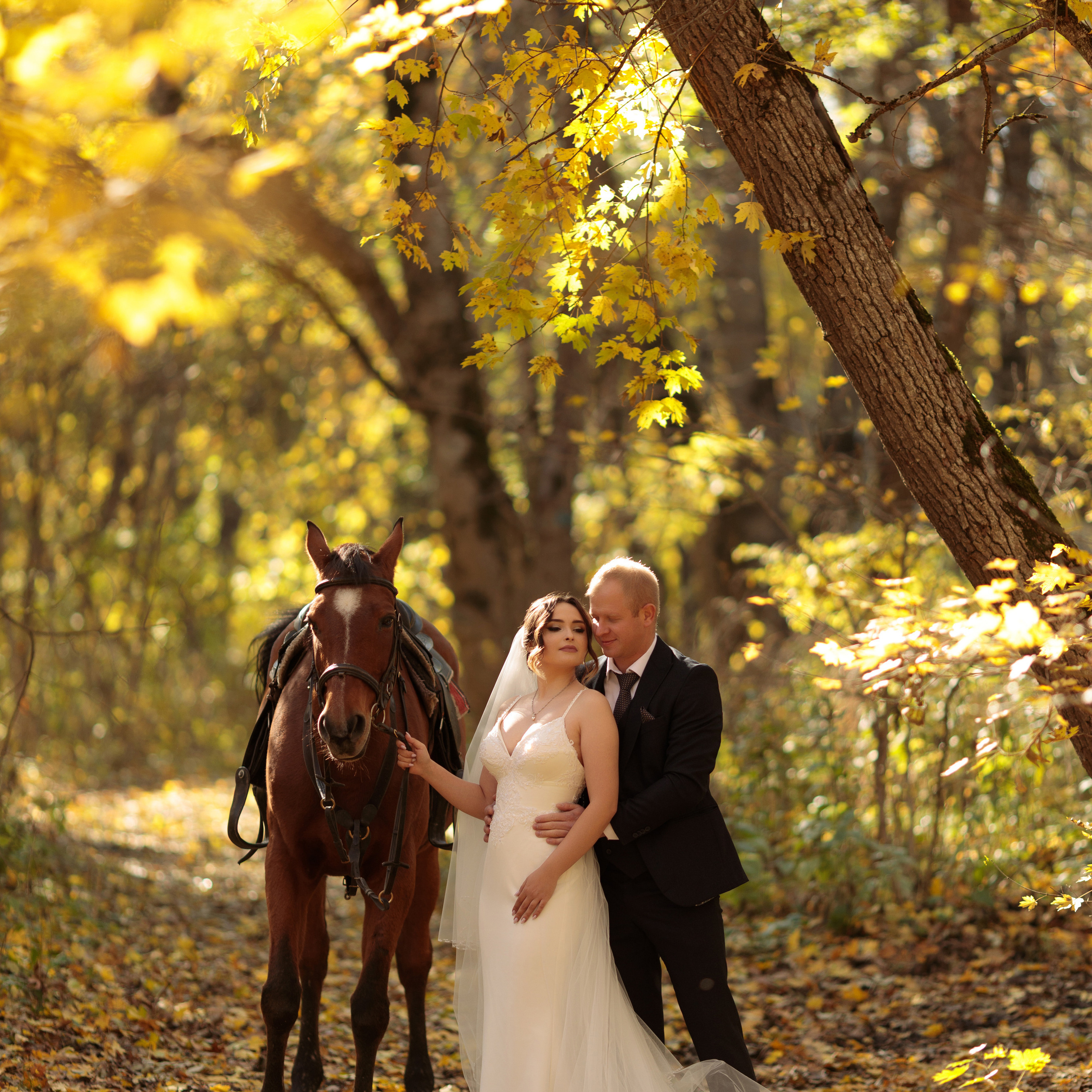 Отзывы. Свадебный и семейный фотограф в Ставрополе Попова Дарья