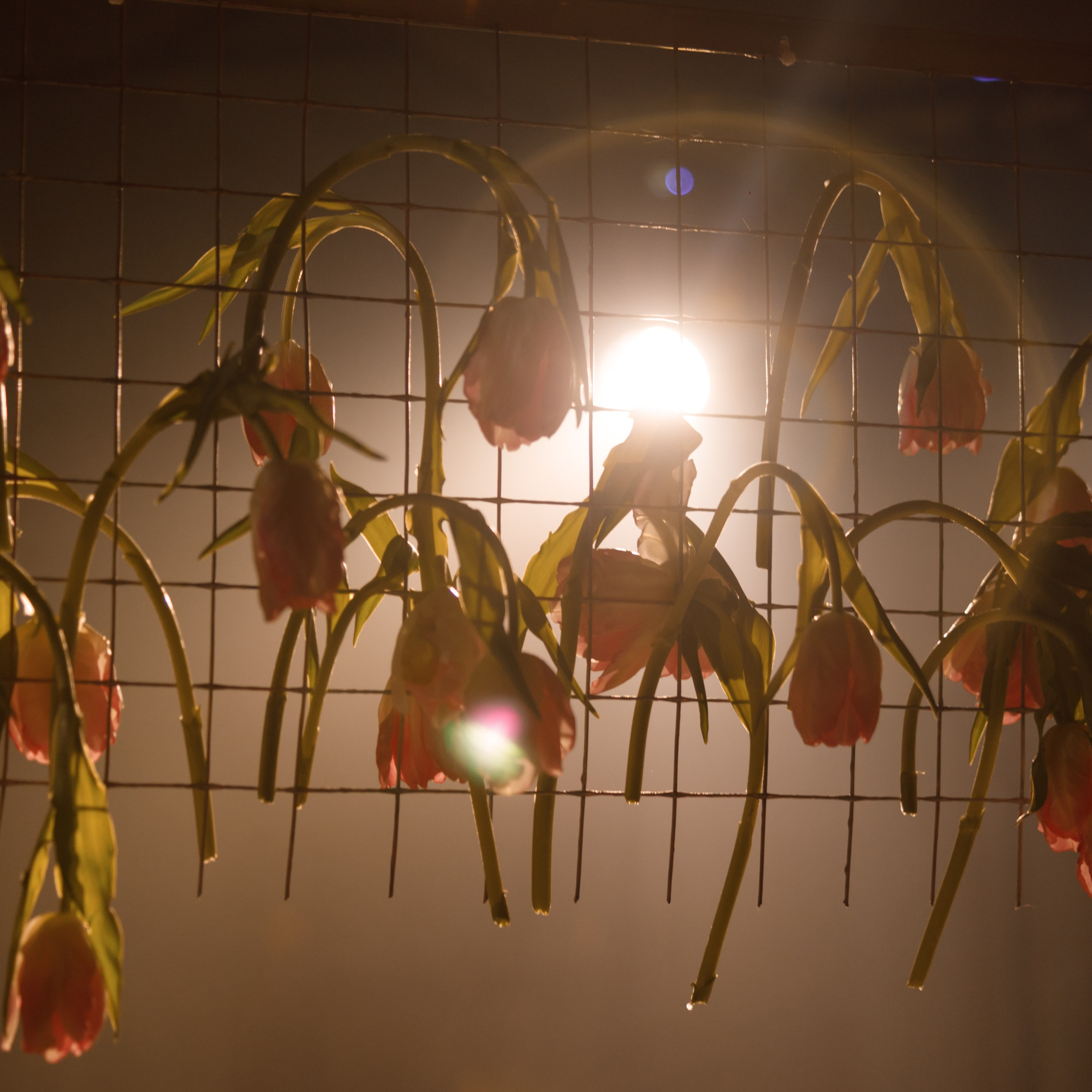 Workshop «Весна». Свадебный и семейный фотограф в Ставрополе Попова Дарья