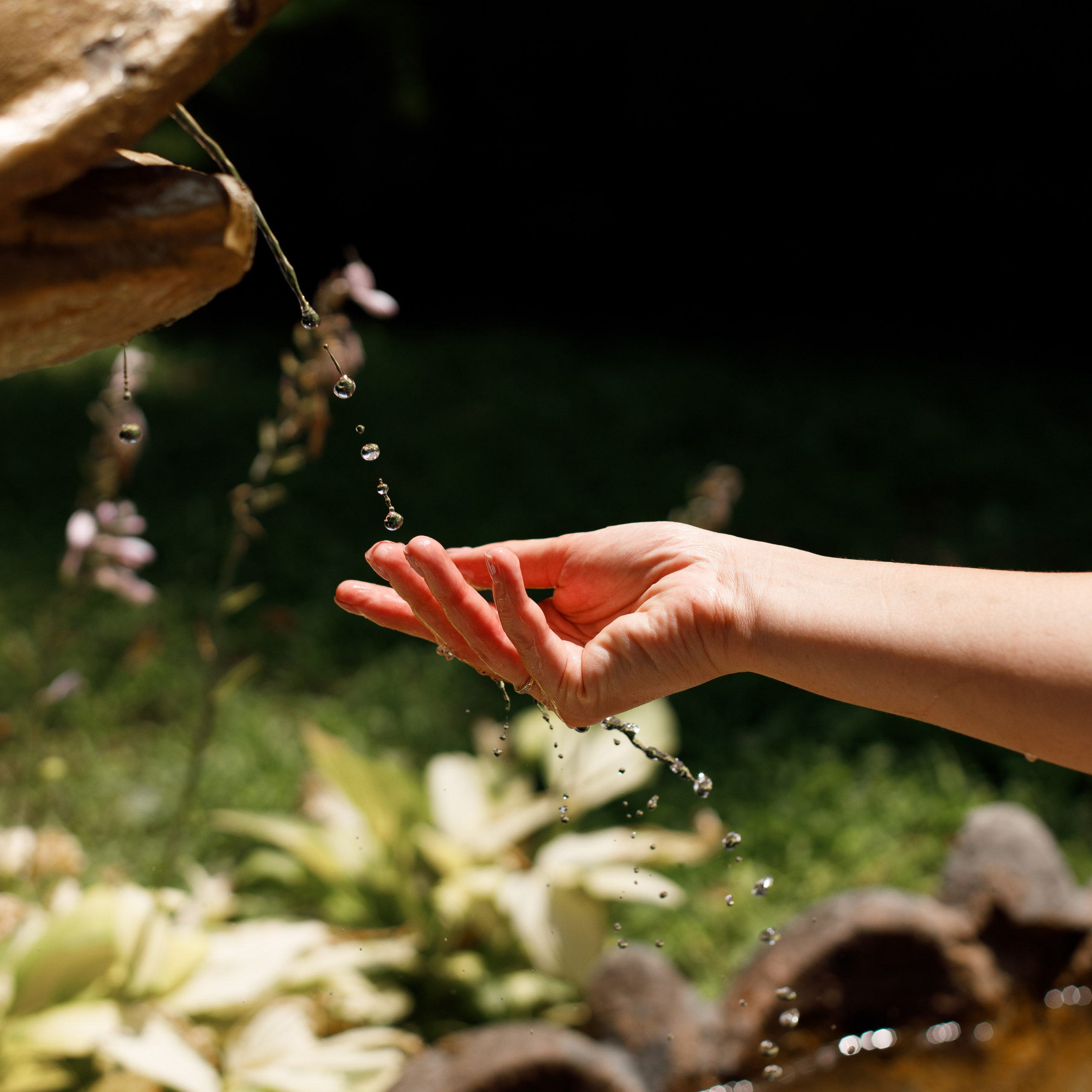 Отзывы. Свадебный и семейный фотограф в Ставрополе Попова Дарья