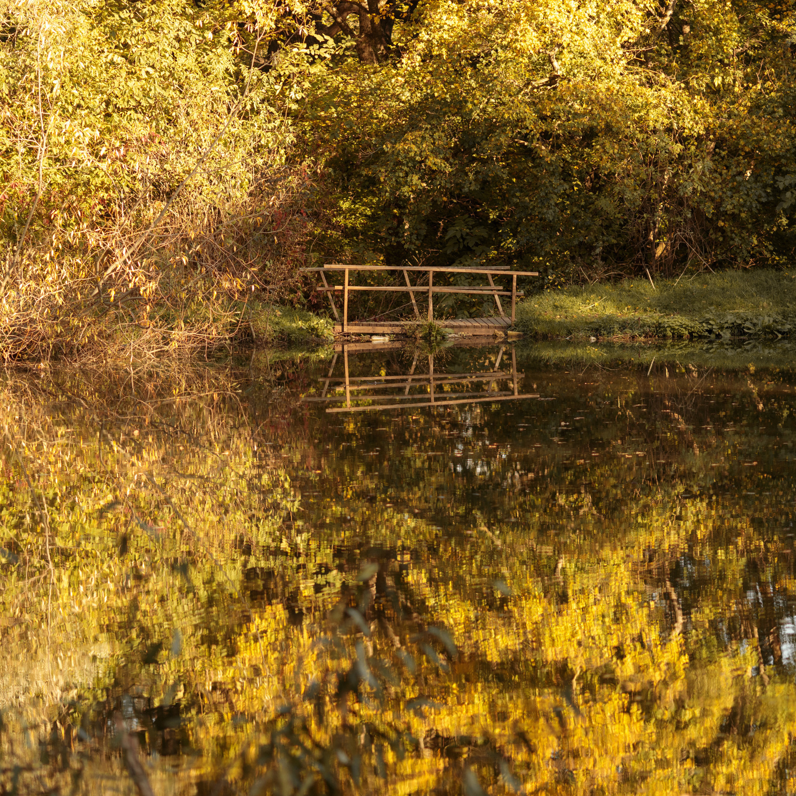 Отзывы. Свадебный и семейный фотограф в Ставрополе Попова Дарья