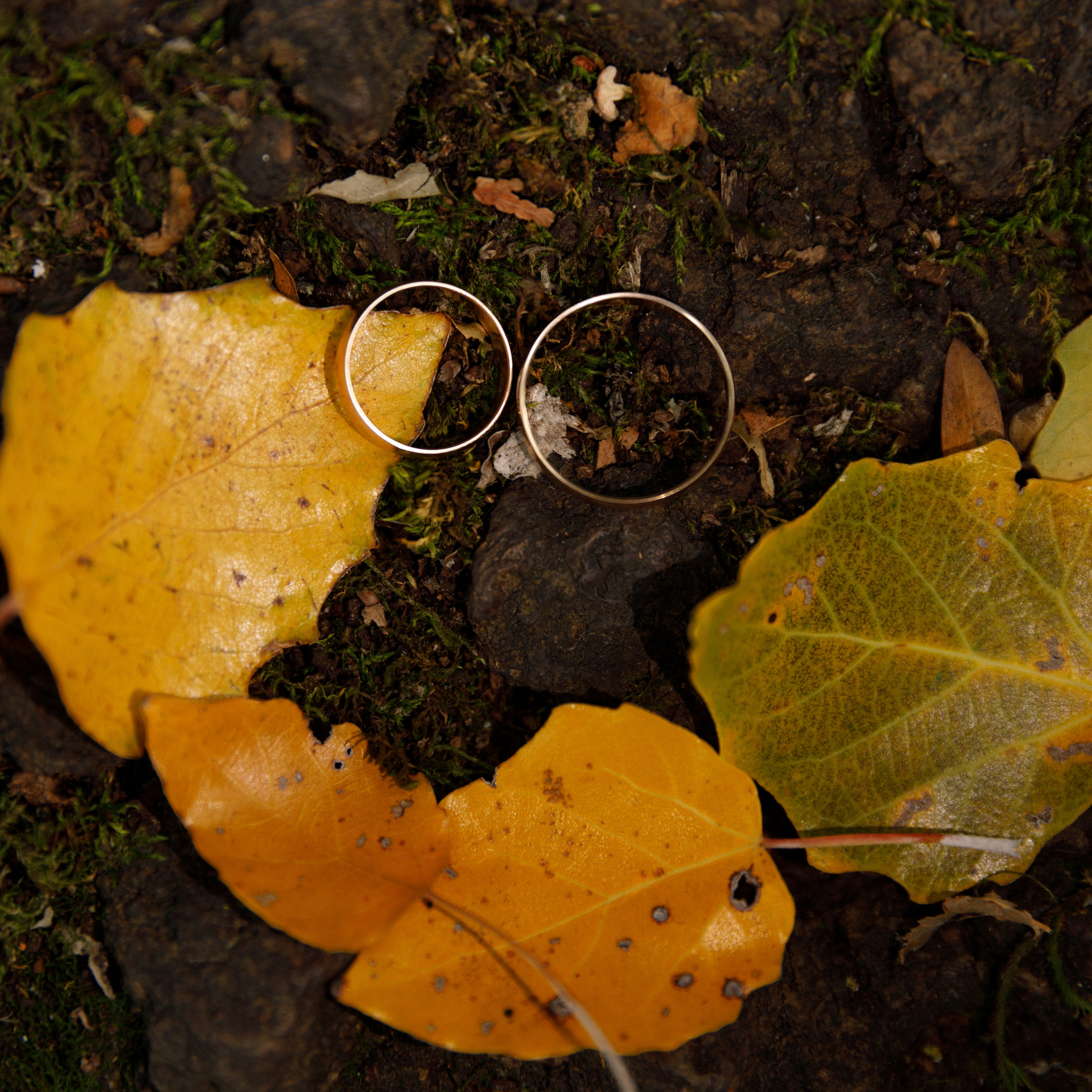 Отзывы. Свадебный и семейный фотограф в Ставрополе Попова Дарья