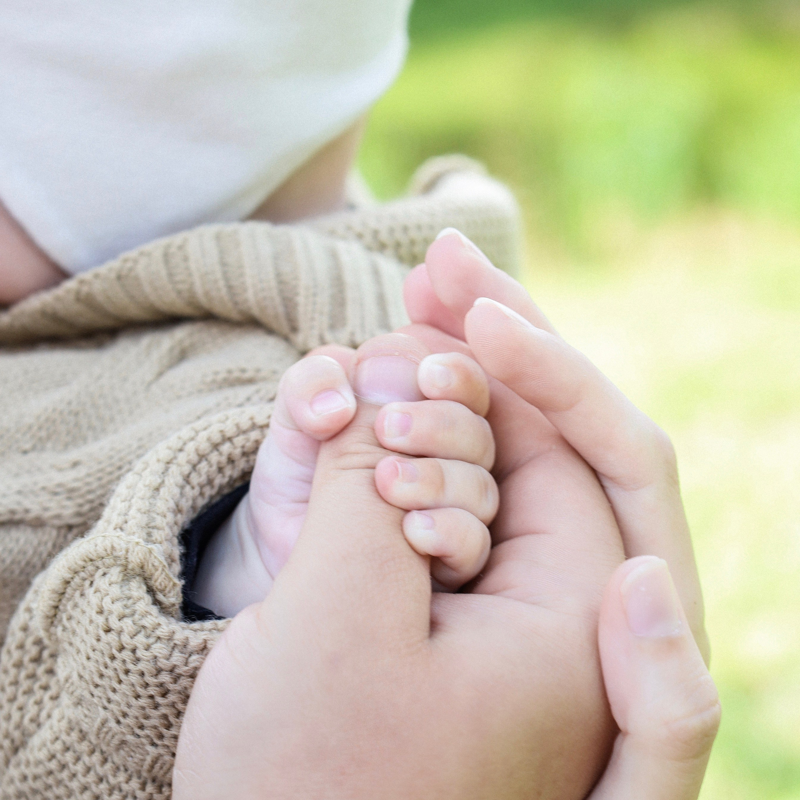 усадьба Василёво