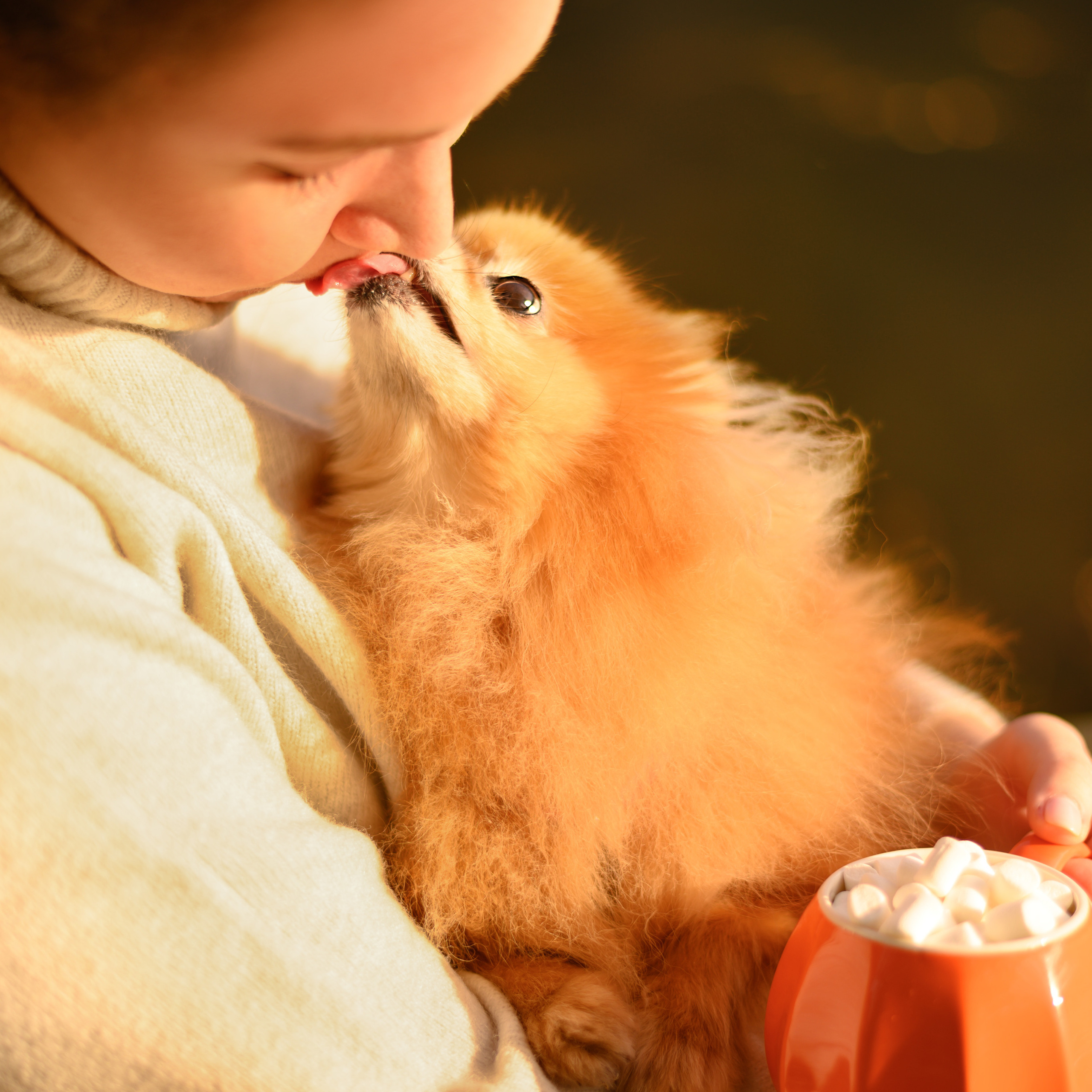 Отзывы. Свадебный видеограф и фотограф в Москве Никонова Анна