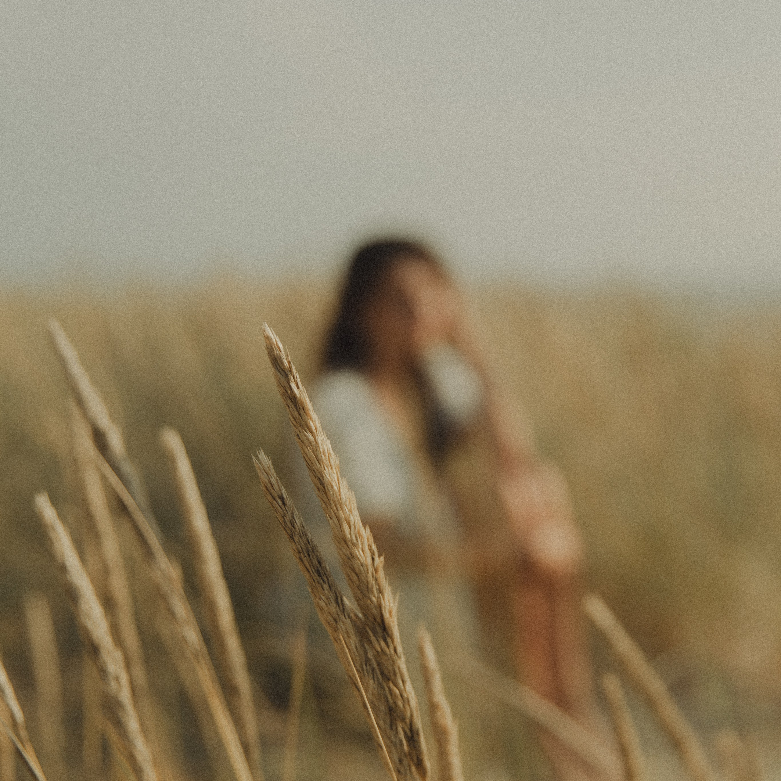 Даша / Янтарный