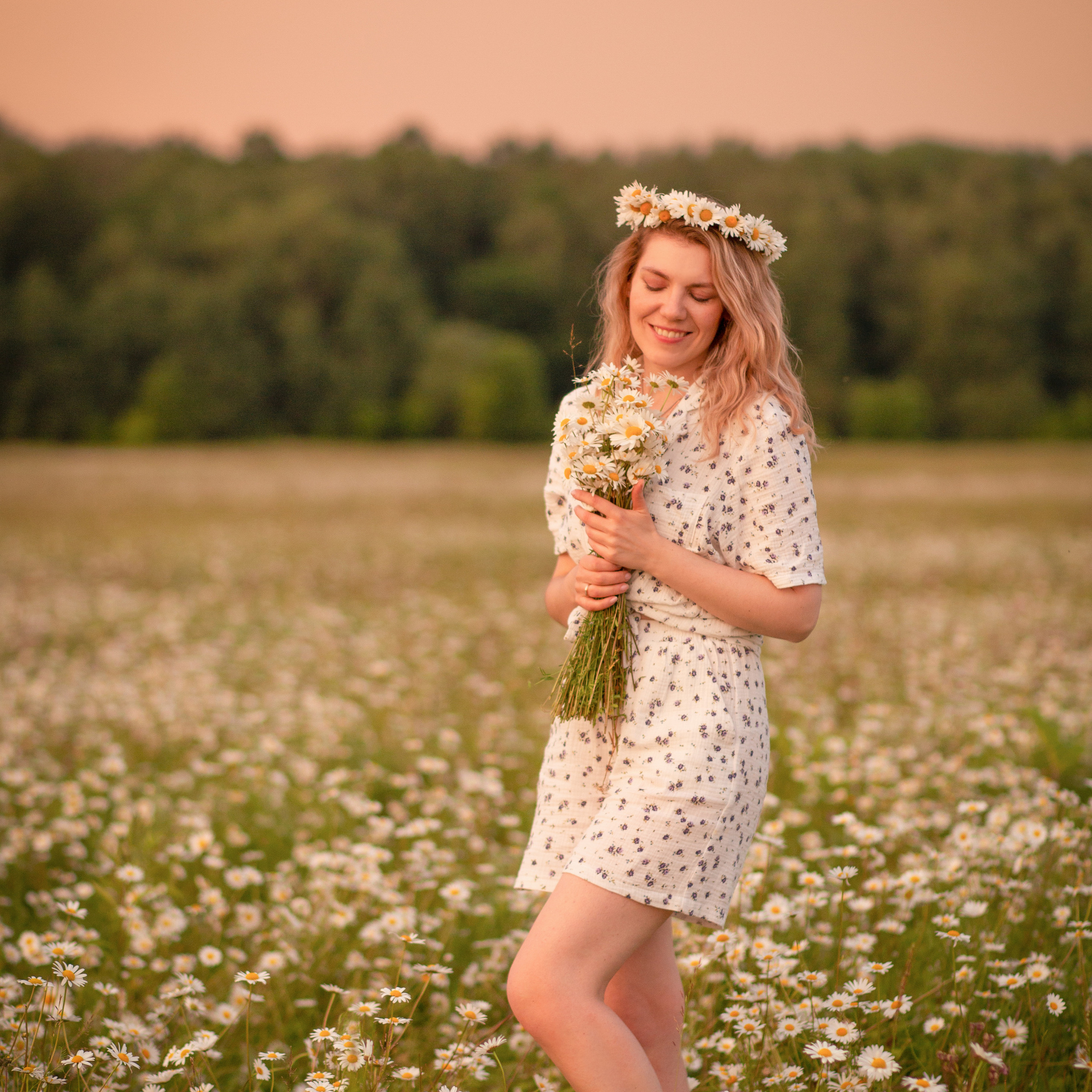 В Ромашковом поле