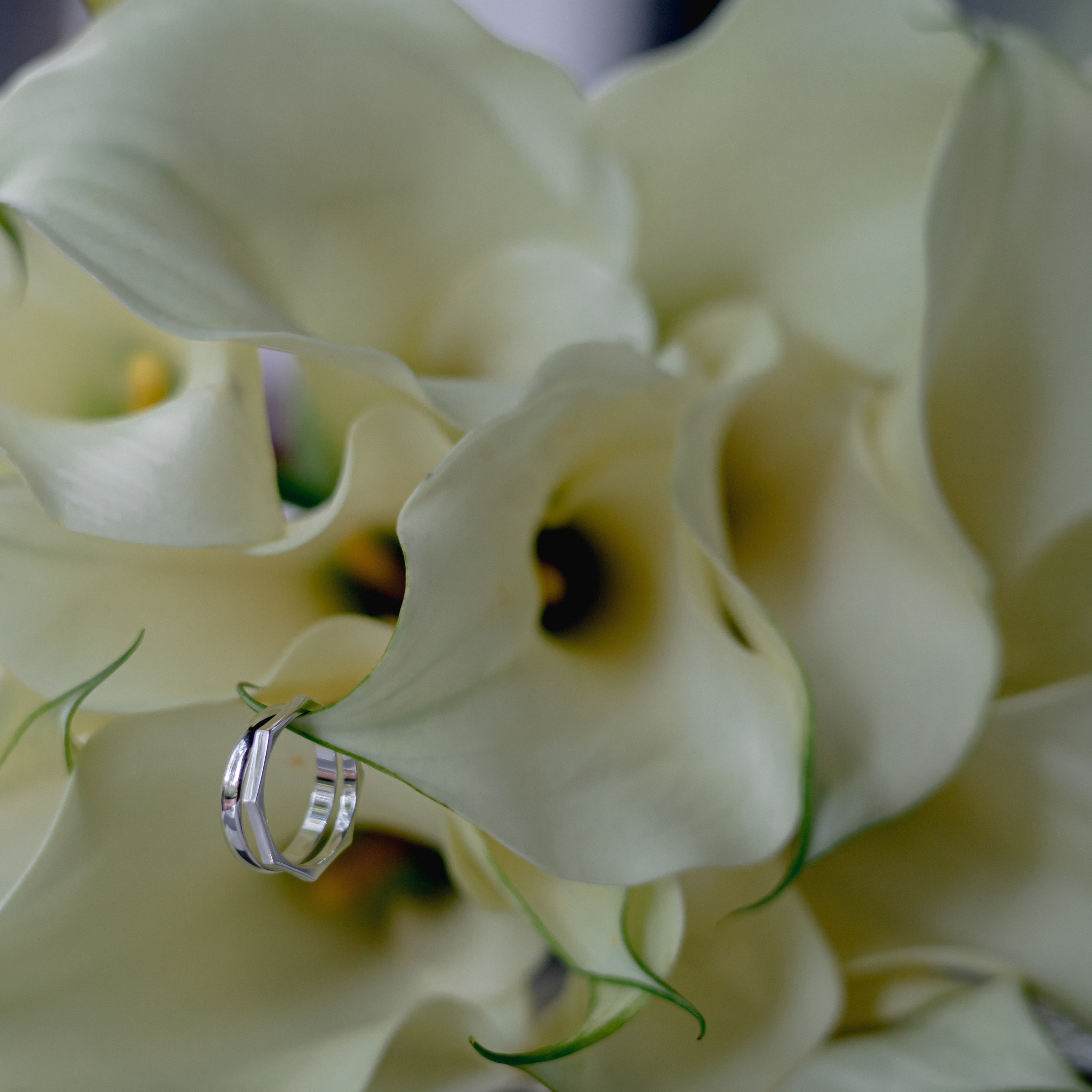 Отзывы. Свадебный и семейный фотограф Екатеринбург