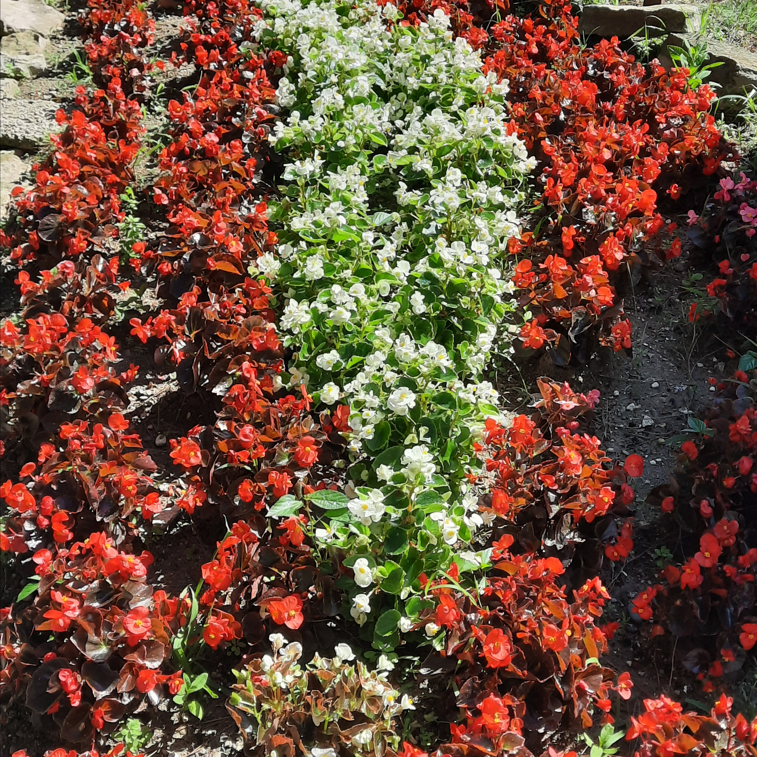 Отзывы. Beauty и Fashion фотограф в Сочи и в Москве Алена Фролова