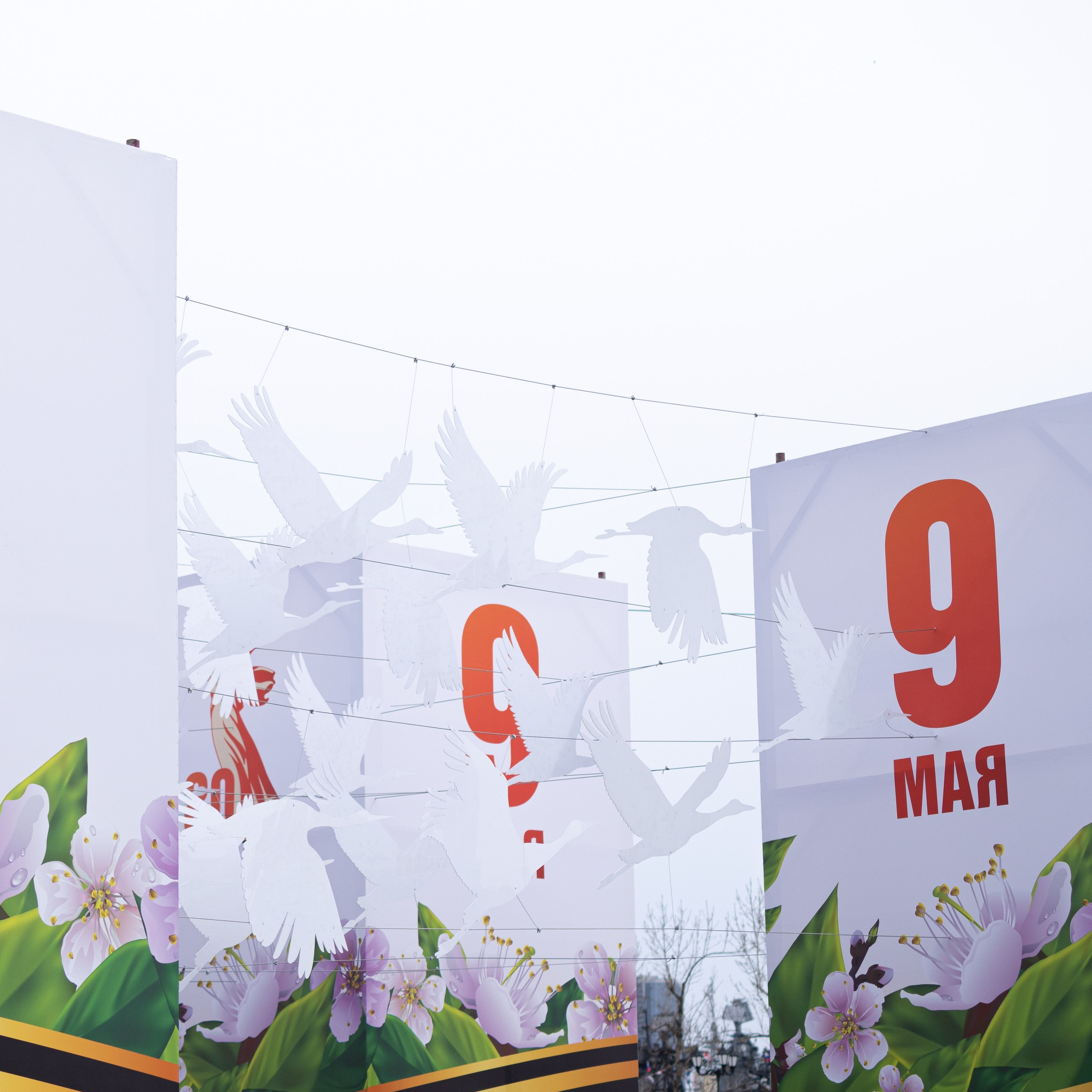 9 мая, выступления 2025 г.