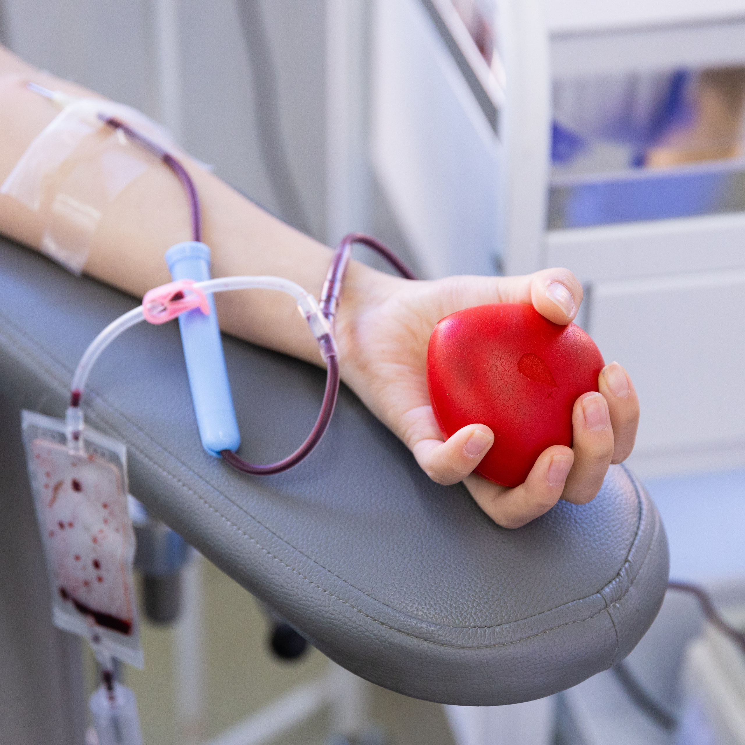 Донорство, краевая станция переливания крови, г. Владивосток