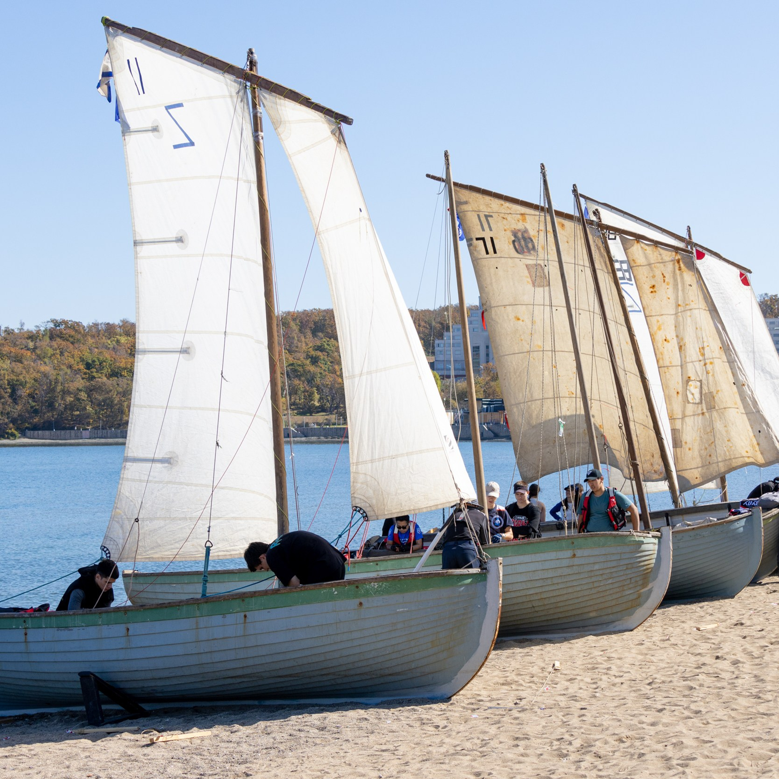 Парусный спорт в бухте Аякс