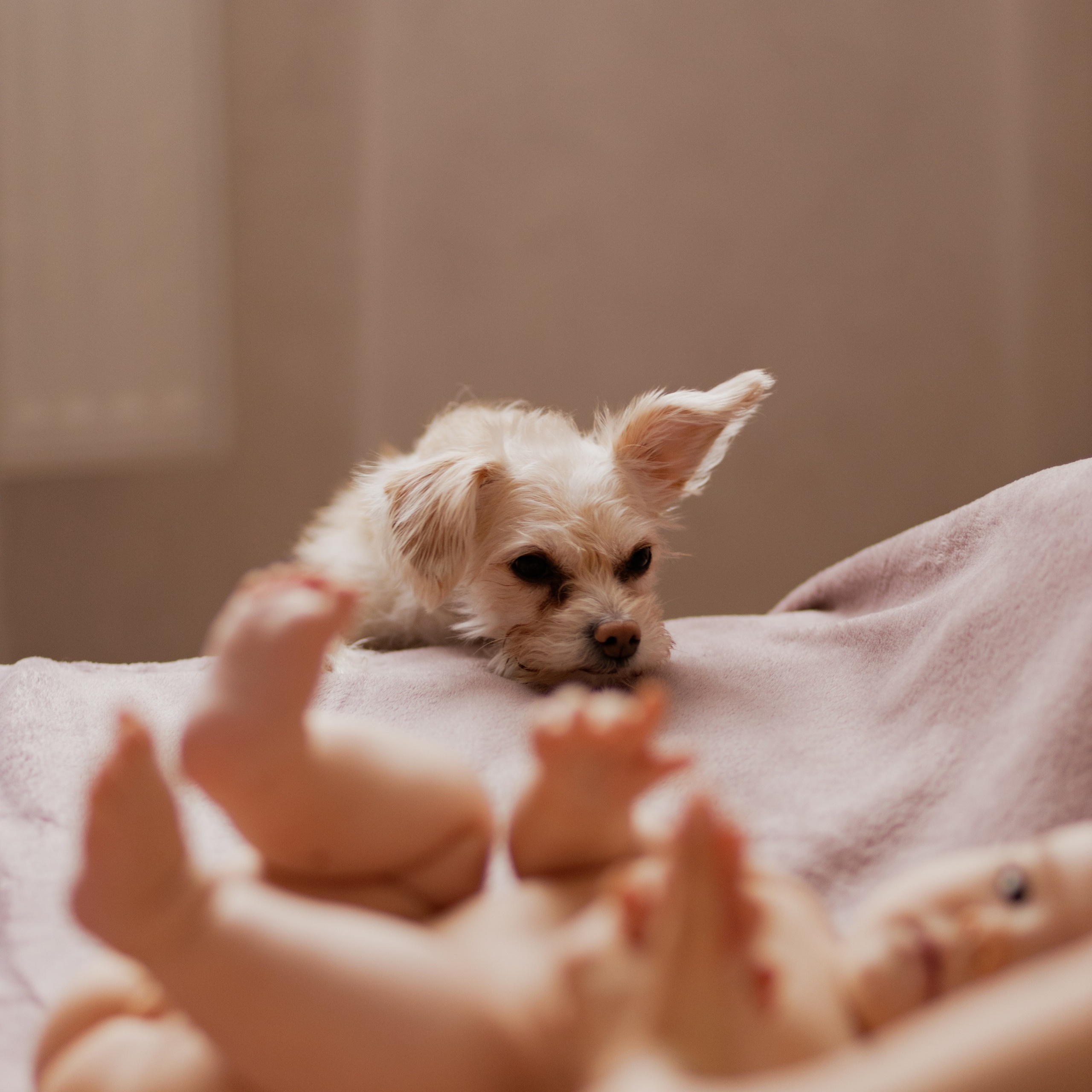 Отзывы. Семейный и детский фотограф в Тюмени Вика Алленова