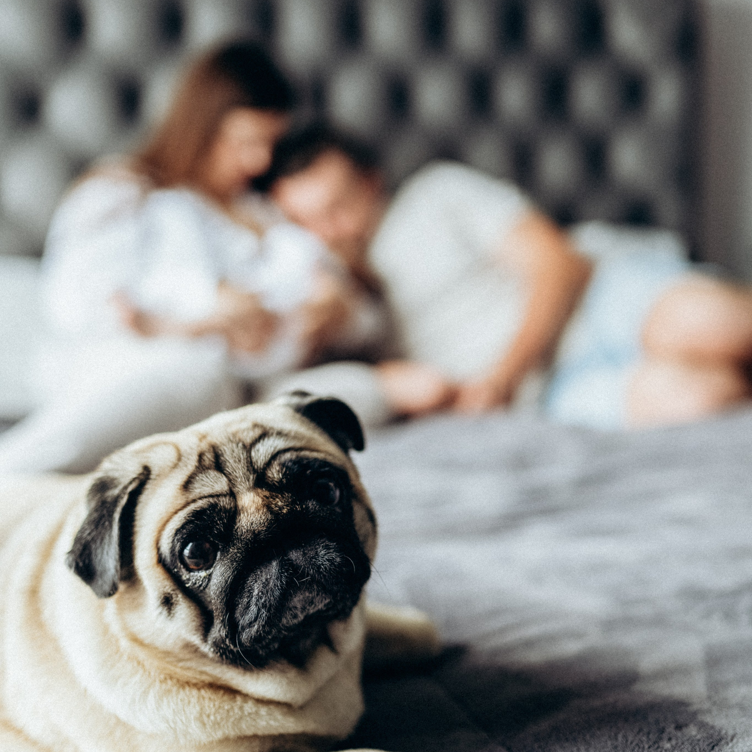 Малыш Федор