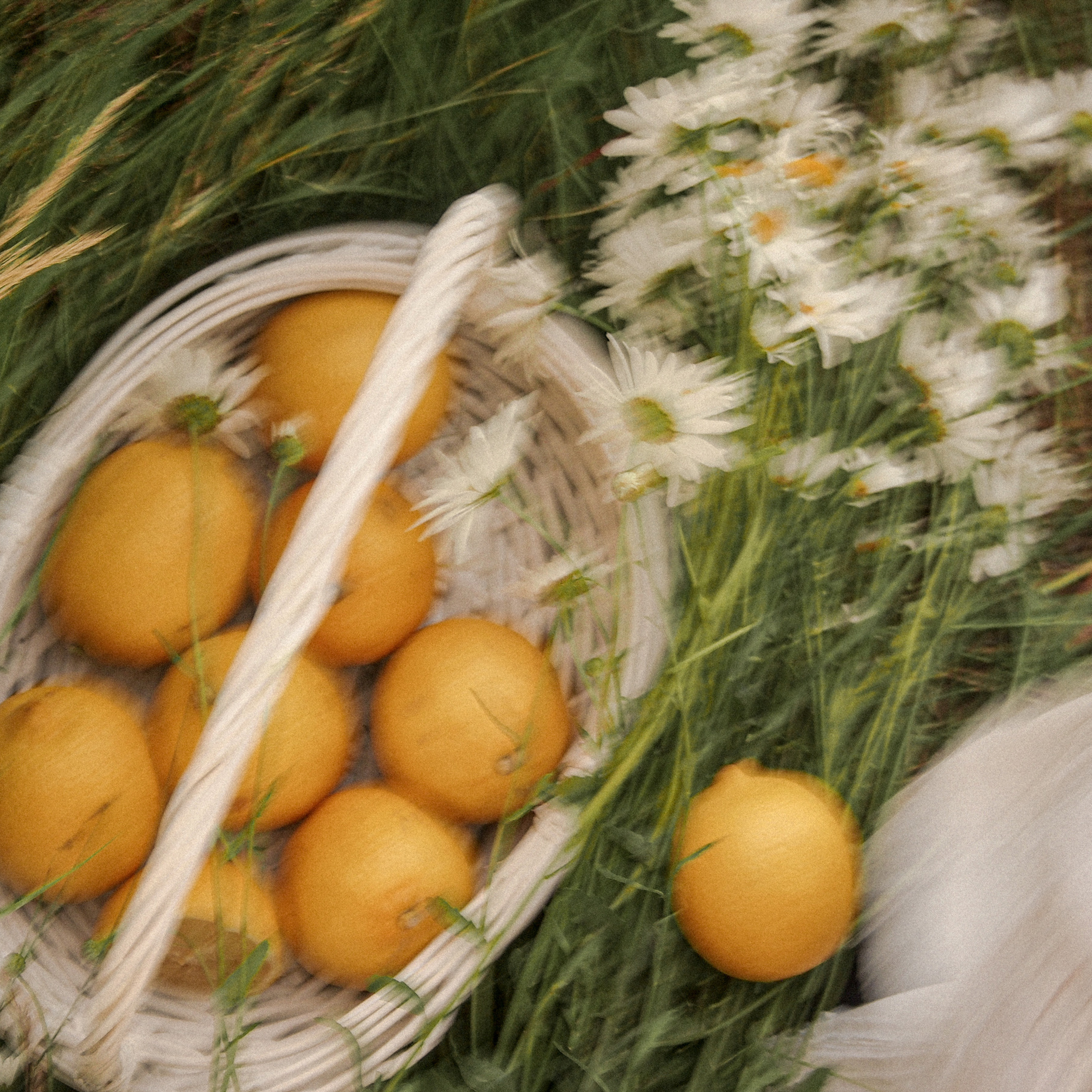 Аня. Фотограф Катерина Ивашова