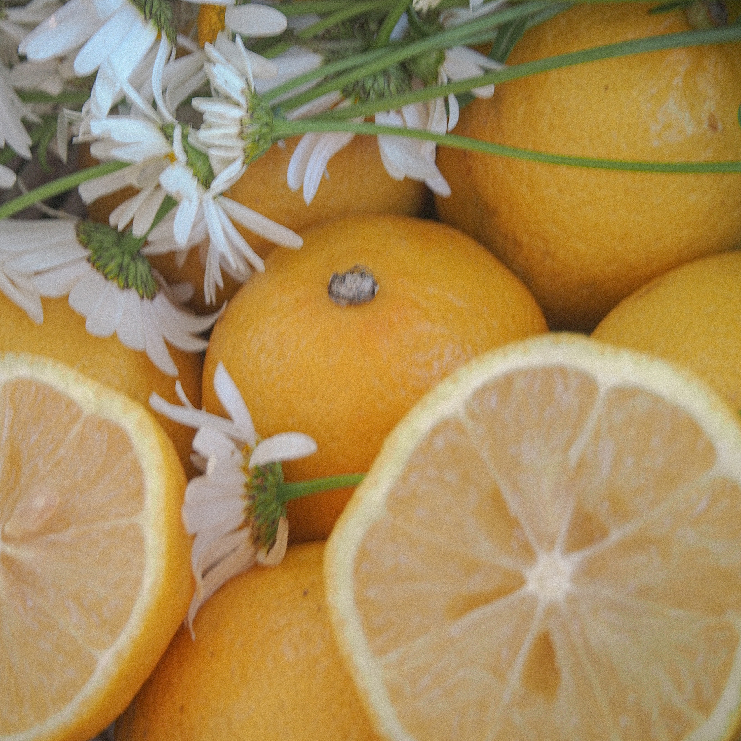 Аня. Фотограф Катерина Ивашова