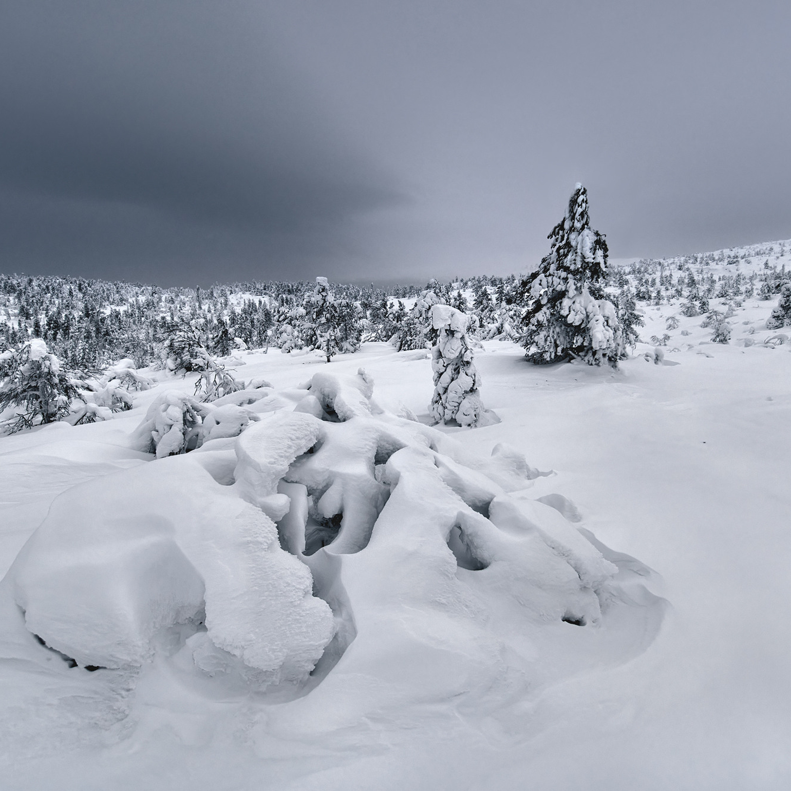 Фототур «Зимние краски Кольского» (25.02.23 — 04.03.23). Фотограф Константин Шамин