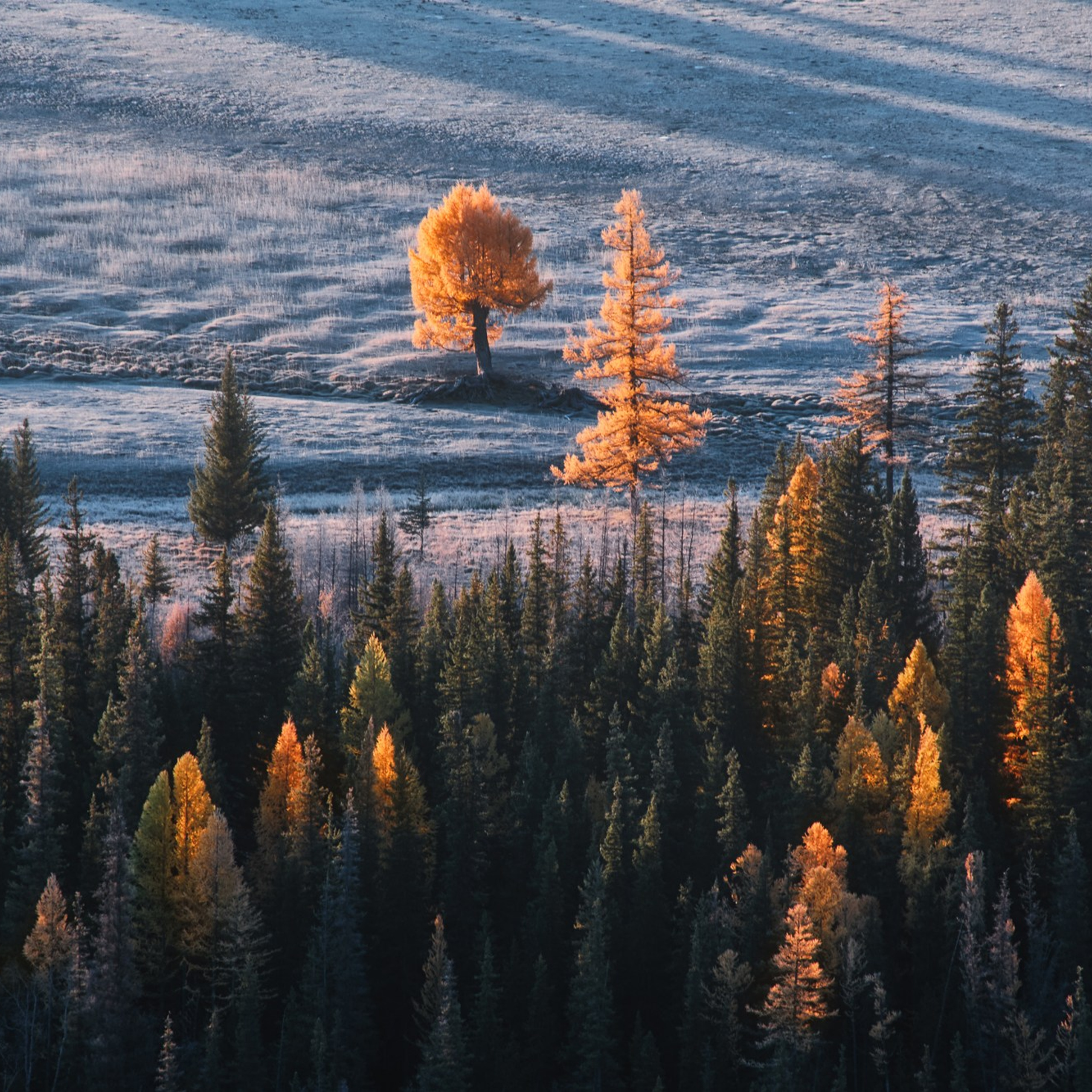 Фототур «Осенний Алтай» (20.09 — 29.09.24). Фотограф Константин Шамин