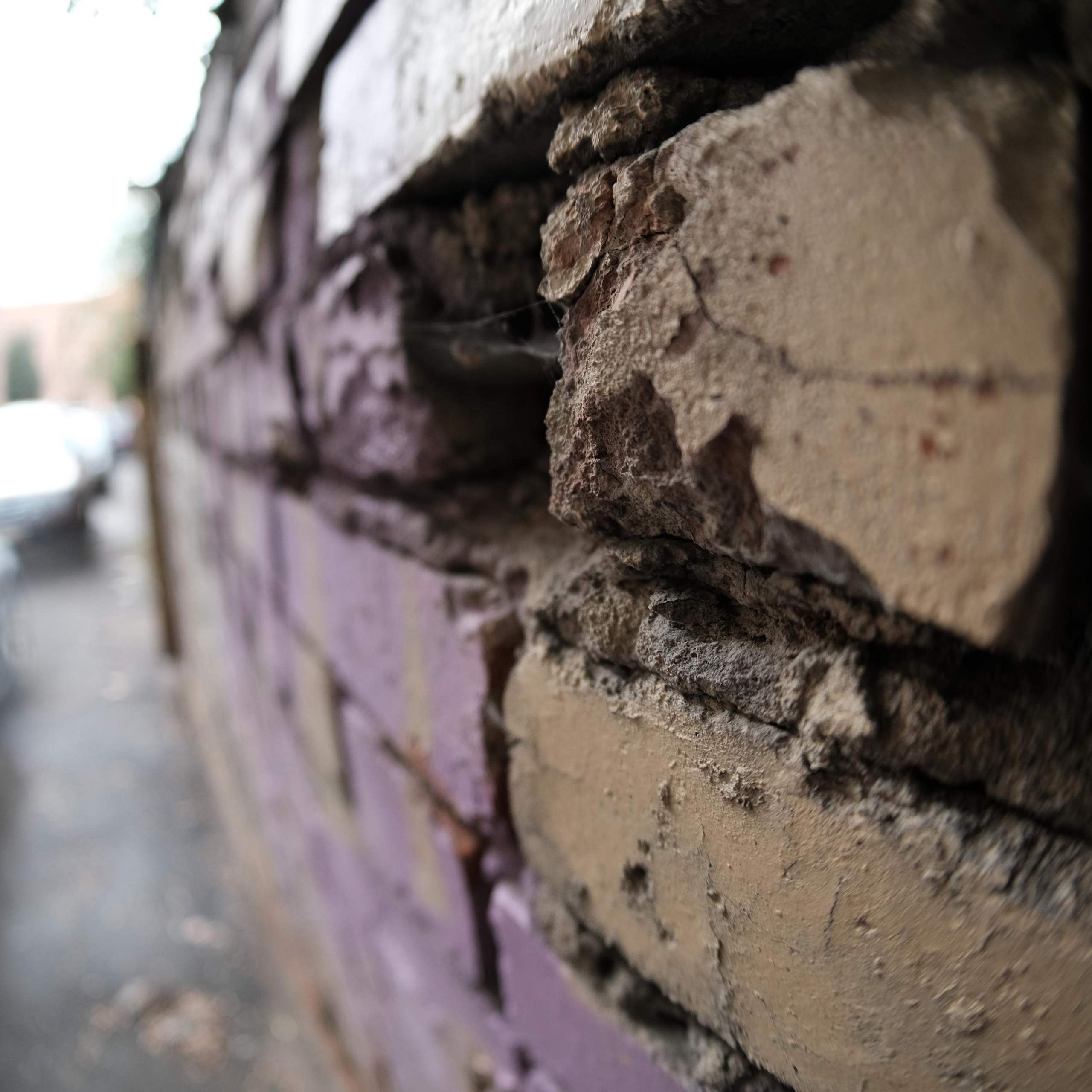 Сравнение объективов 7artisans 7,5/f2.8 и TTArtisan 7,5/f2.0. Фотограф Константин Шамин