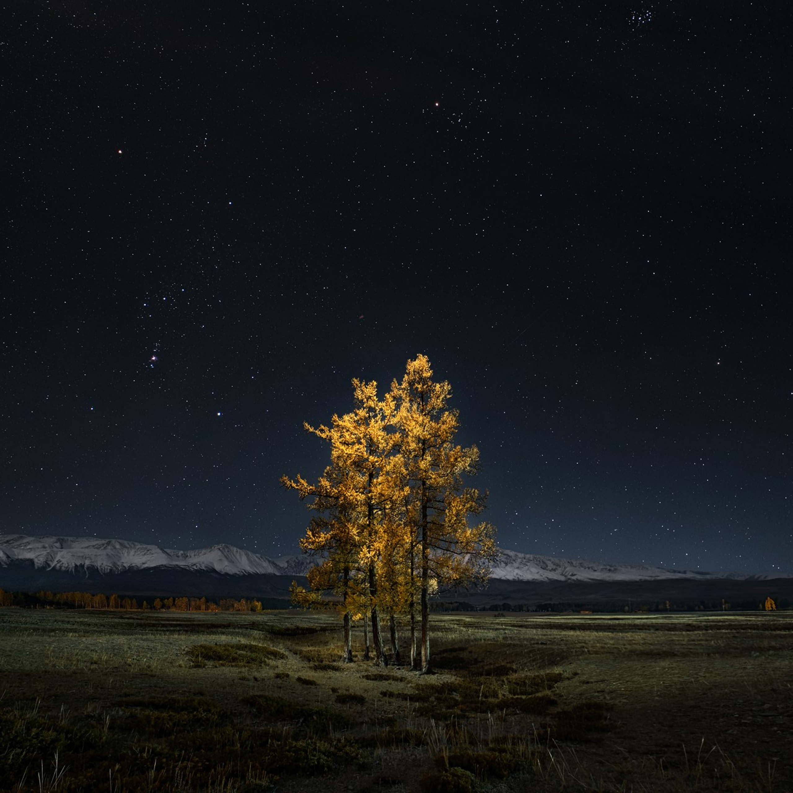 Фототур «Осенний Алтай» (20.09 — 29.09.24). Фотограф Константин Шамин