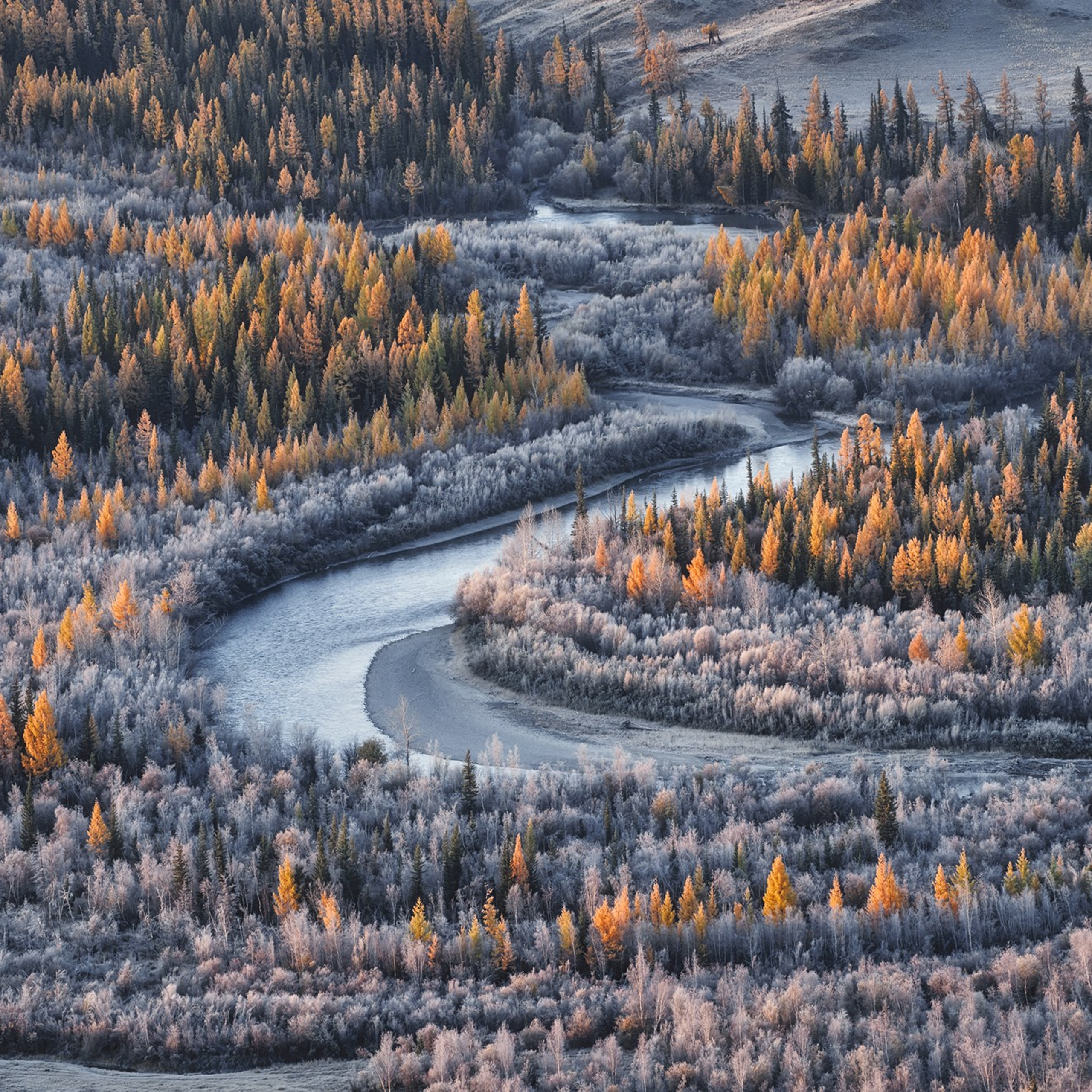 Фототур «Осенний Алтай» (20.09 — 29.09.24). Фотограф Константин Шамин