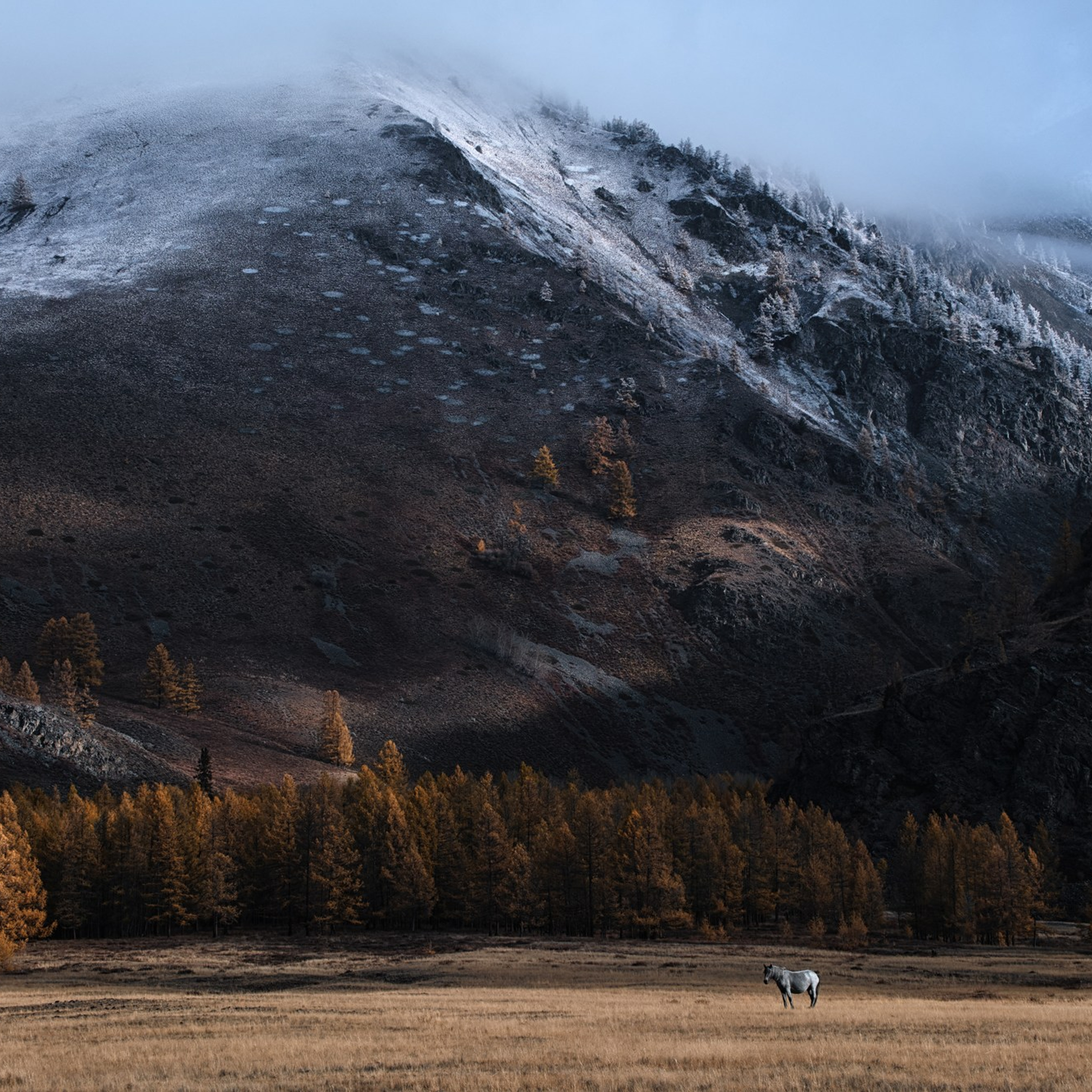 Фототур «Осенний Алтай» (20.09 — 29.09.24). Фотограф Константин Шамин
