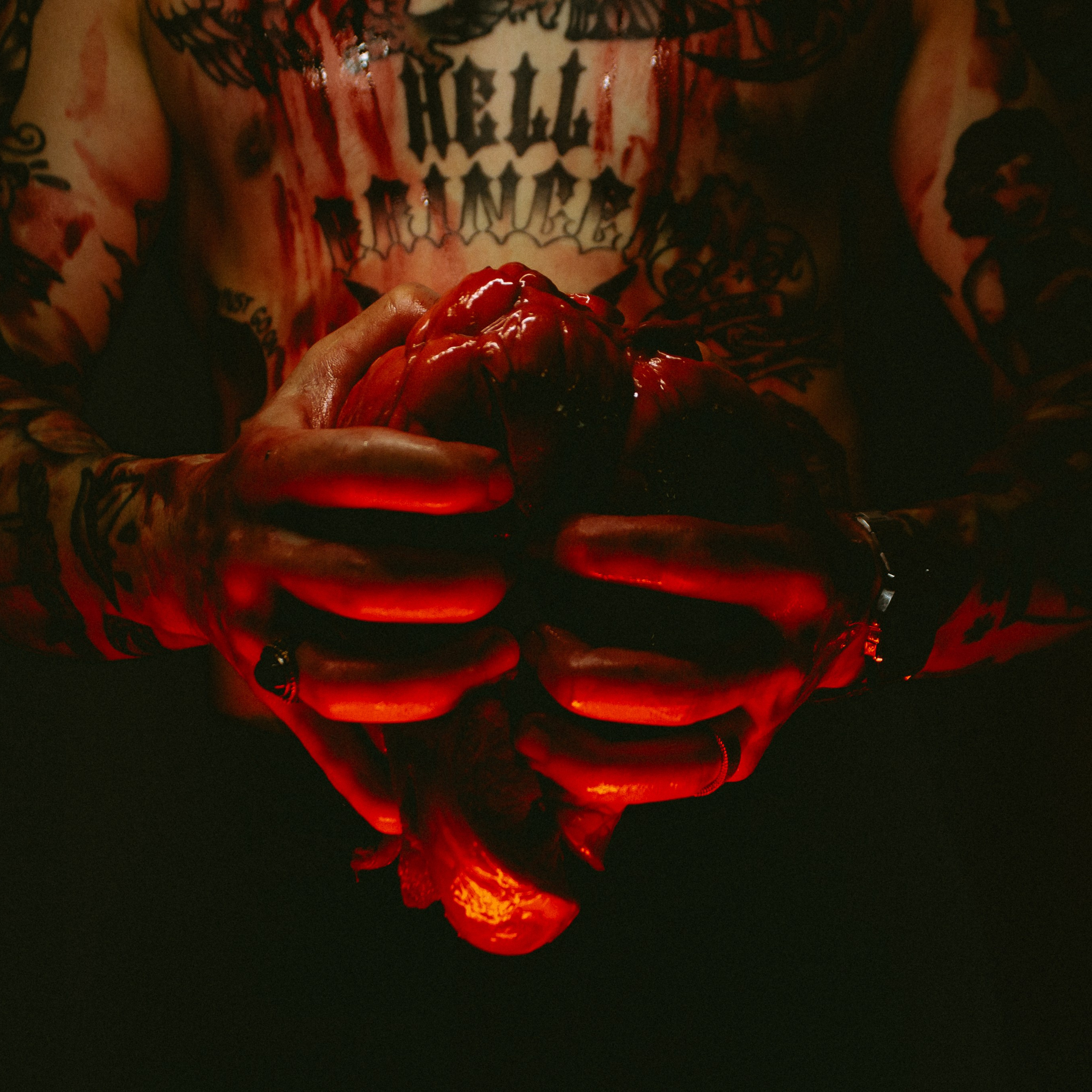 Похититель сердца