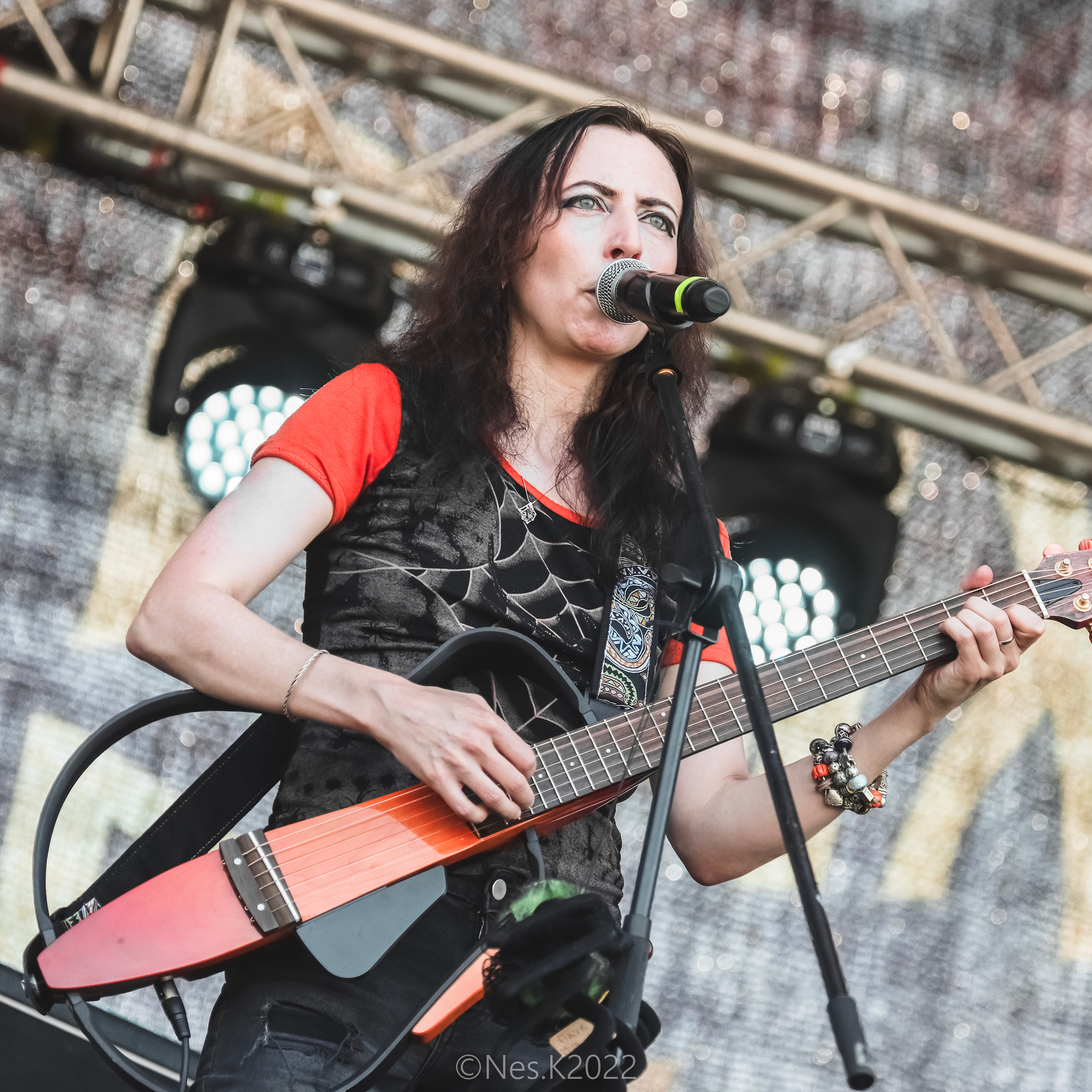 Канцлер Ги