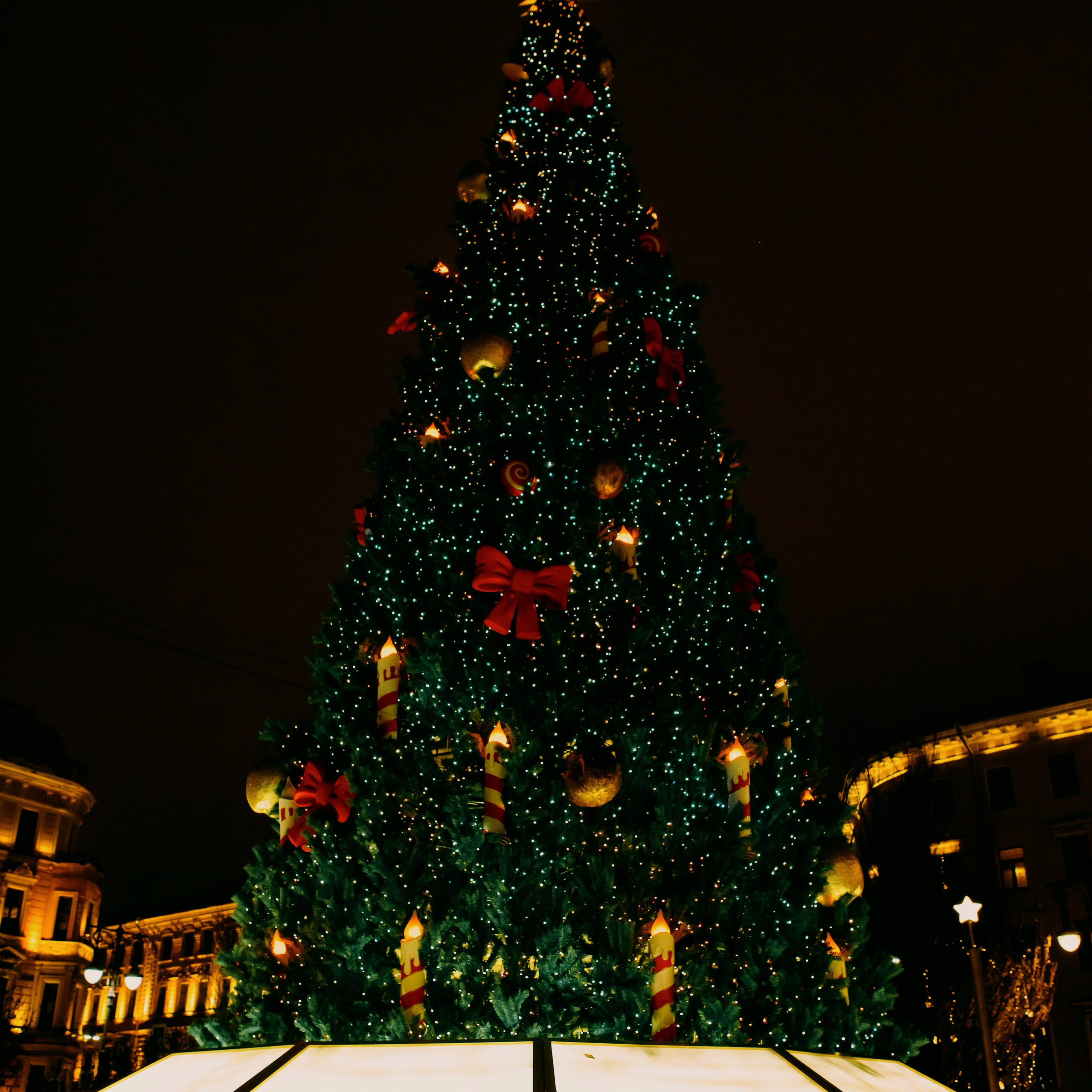 Отзывы. Фотограф в Санкт-Петербурге Евгения Манько