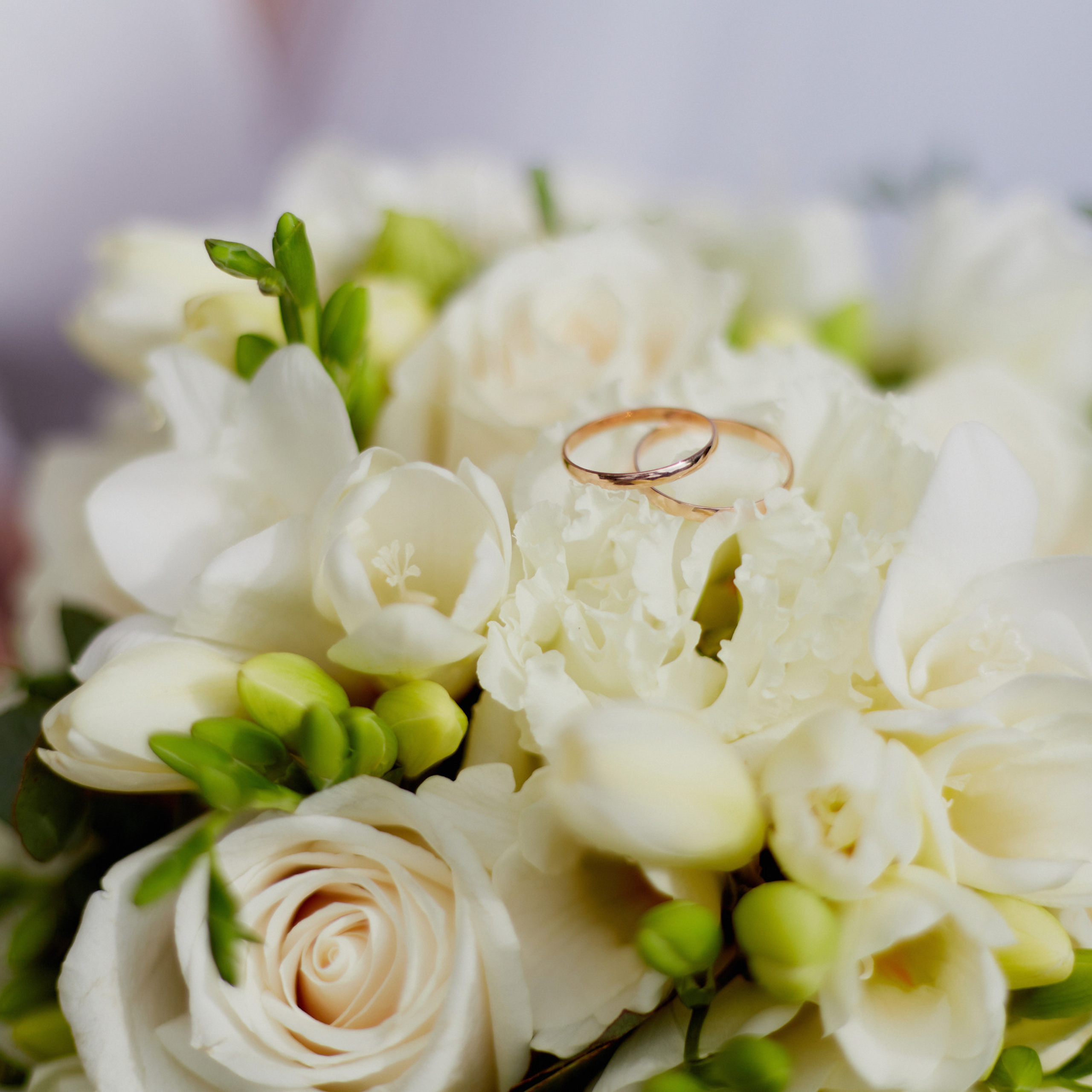 Отзывы о работе профессионального фотографа Ростов. Фотосессии в Ростове-на-Дону. Мария Роскошная