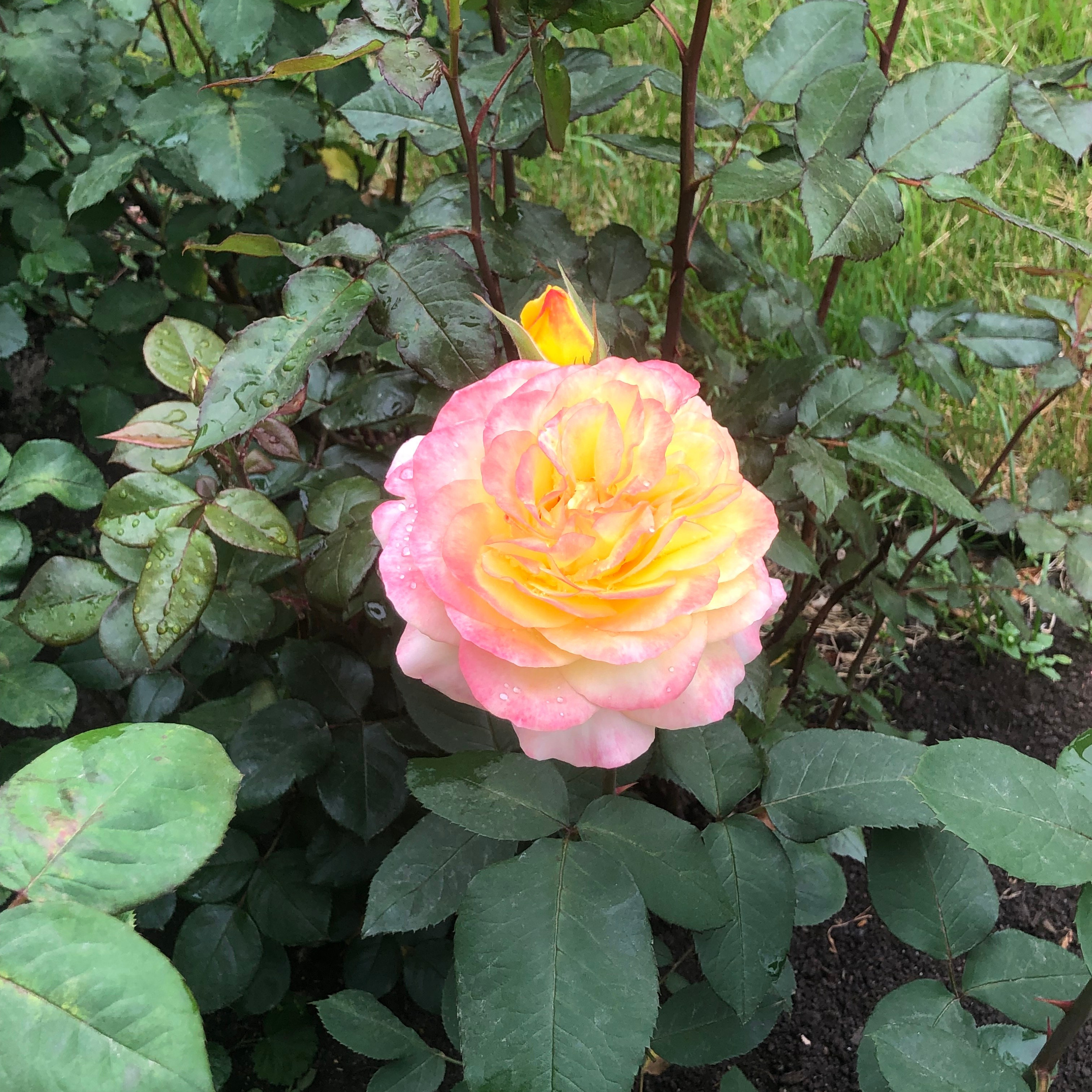 Отзывы клиентов о работе школьного фотографа в Москве