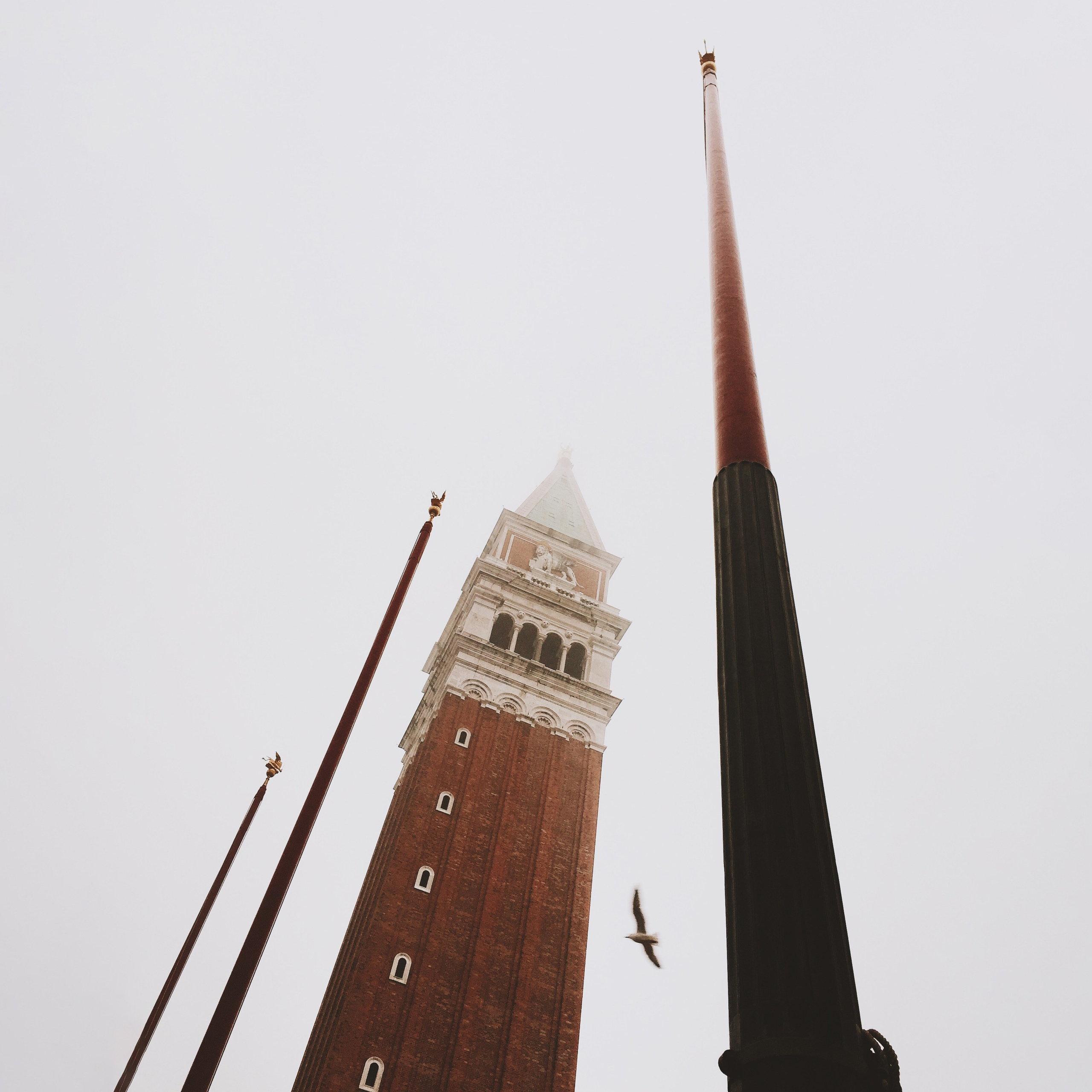 2015, iPhone 6, Italy